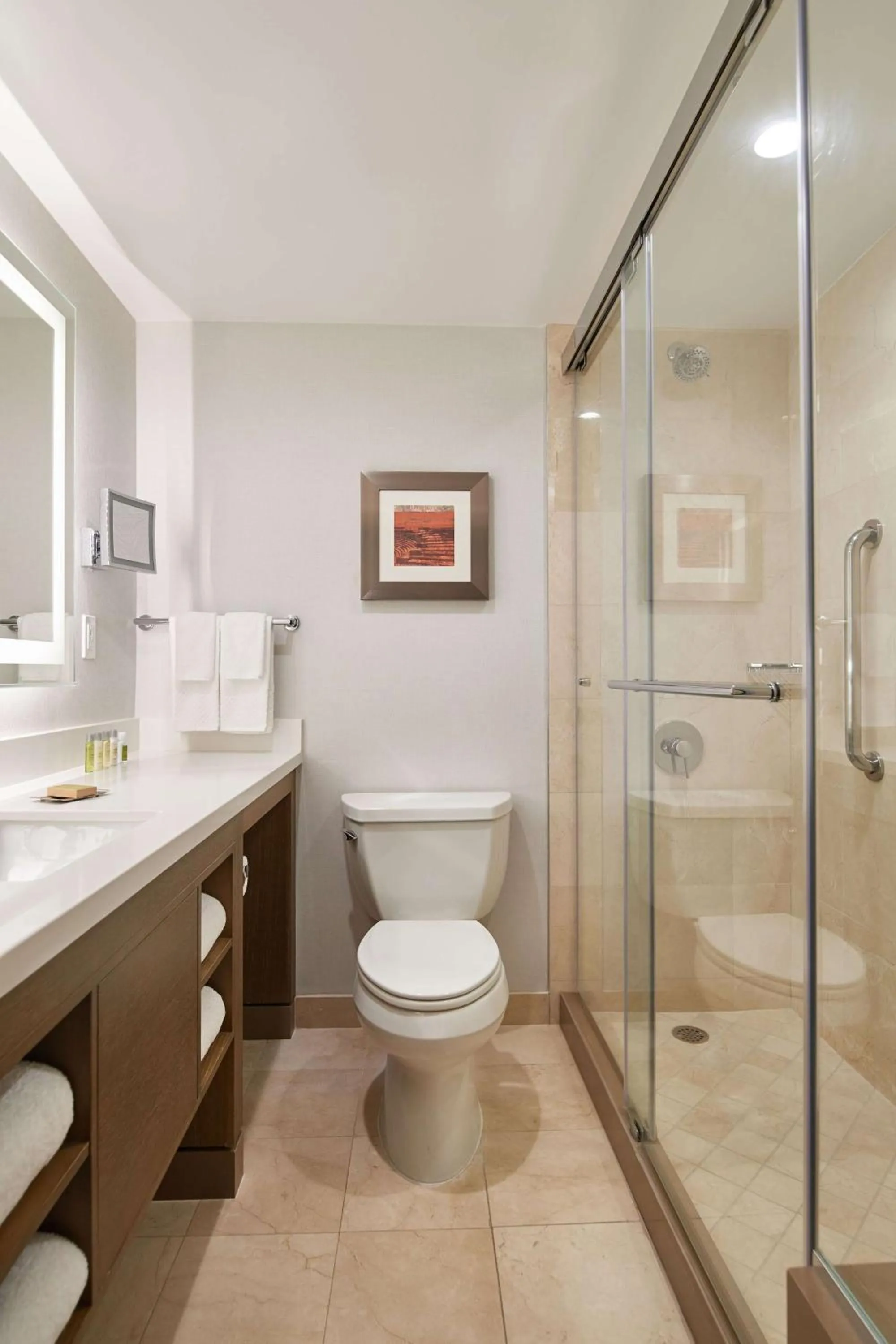 Bathroom in DoubleTree by Hilton Torrance - South Bay