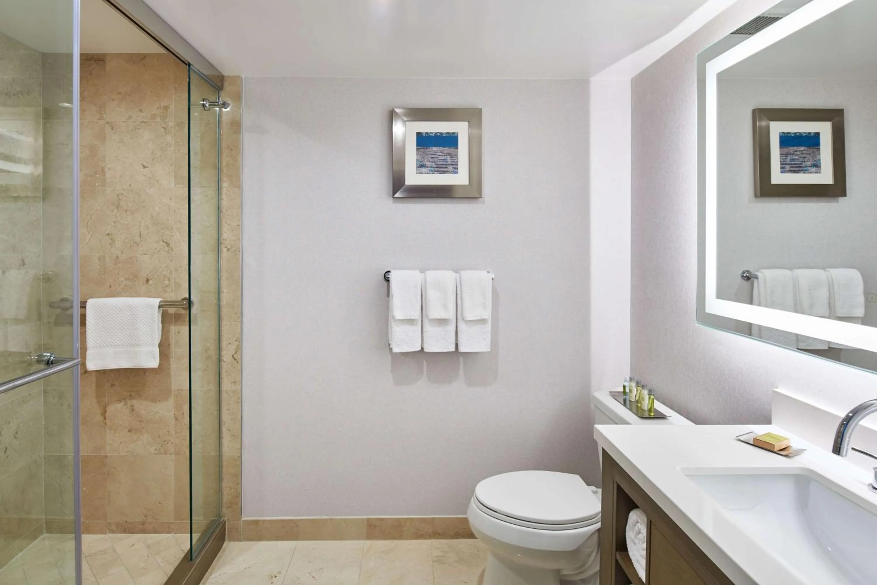 Bathroom in DoubleTree by Hilton Torrance - South Bay