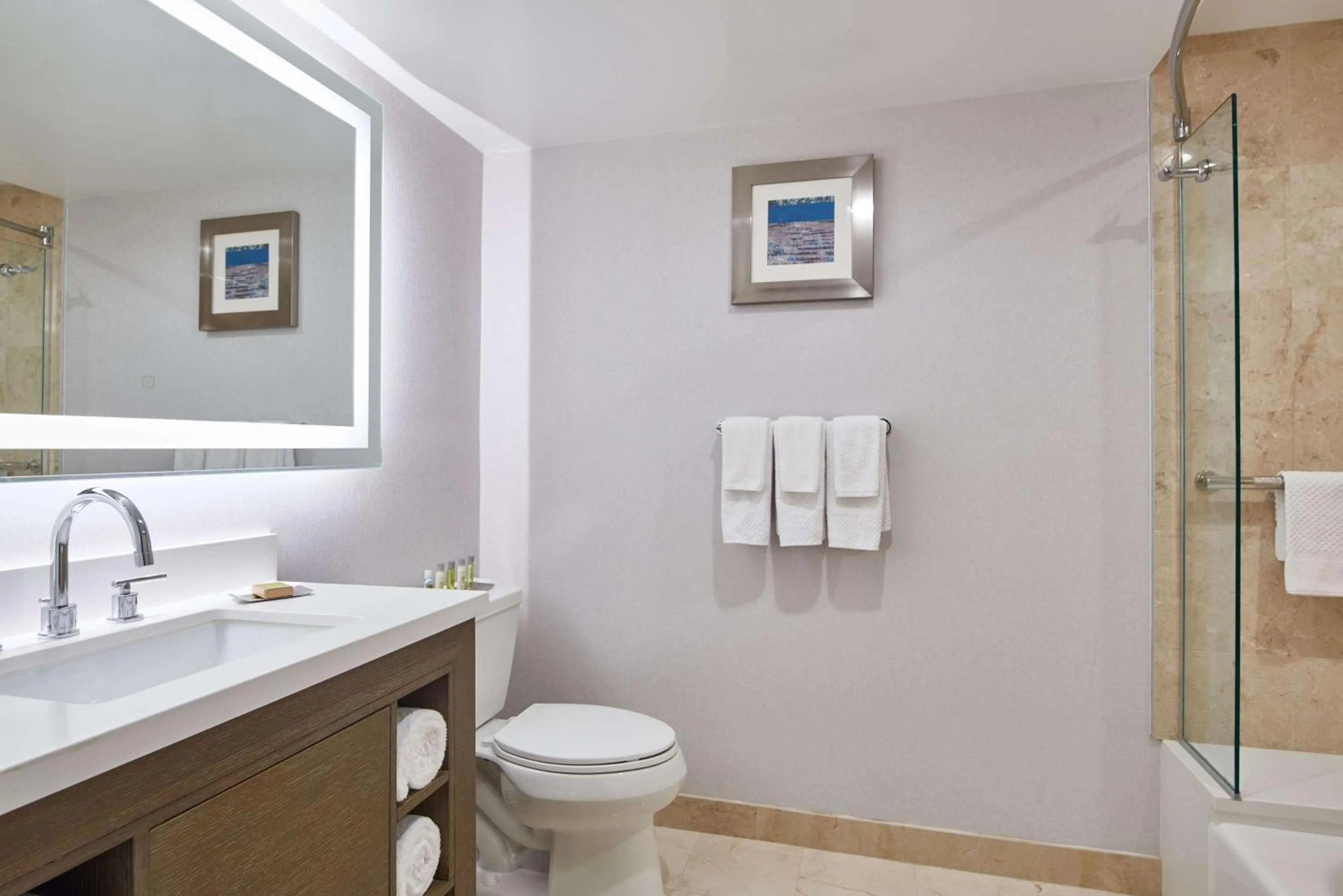 Bathroom in DoubleTree by Hilton Torrance - South Bay