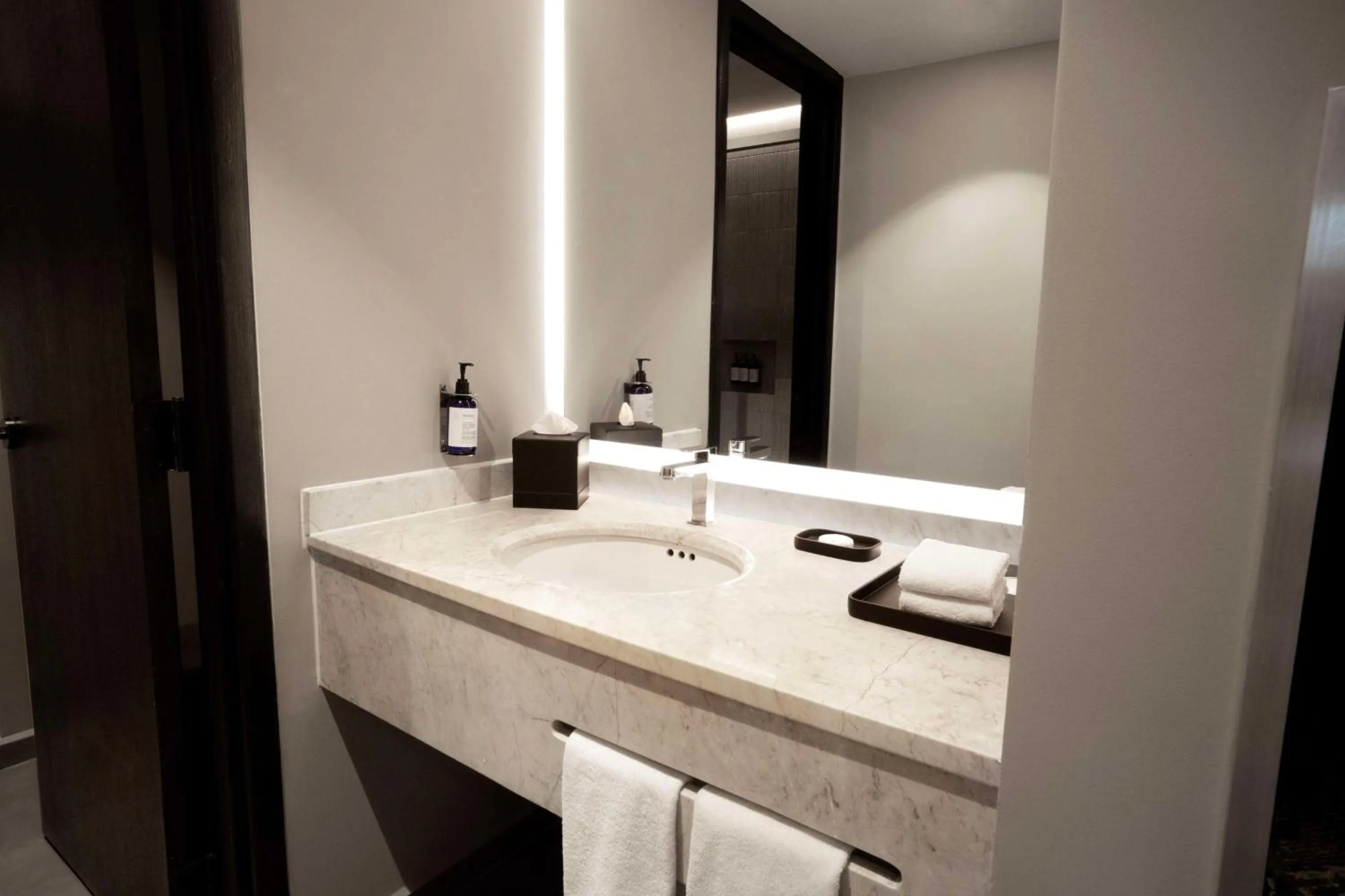 Bathroom in Hilton Mexico City Airport