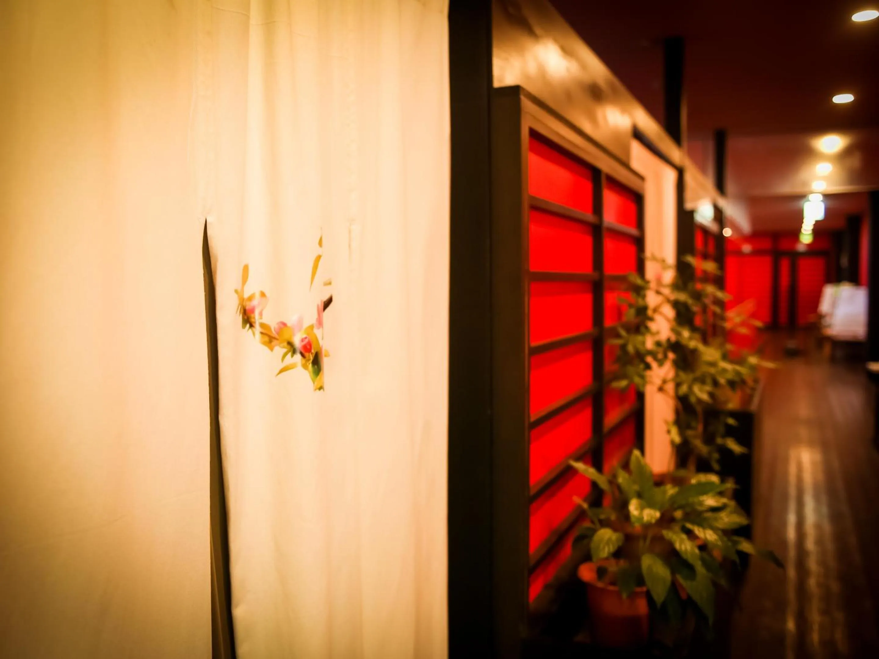 Hot Spring Bath in The Yuinchi Hotel Nanjo