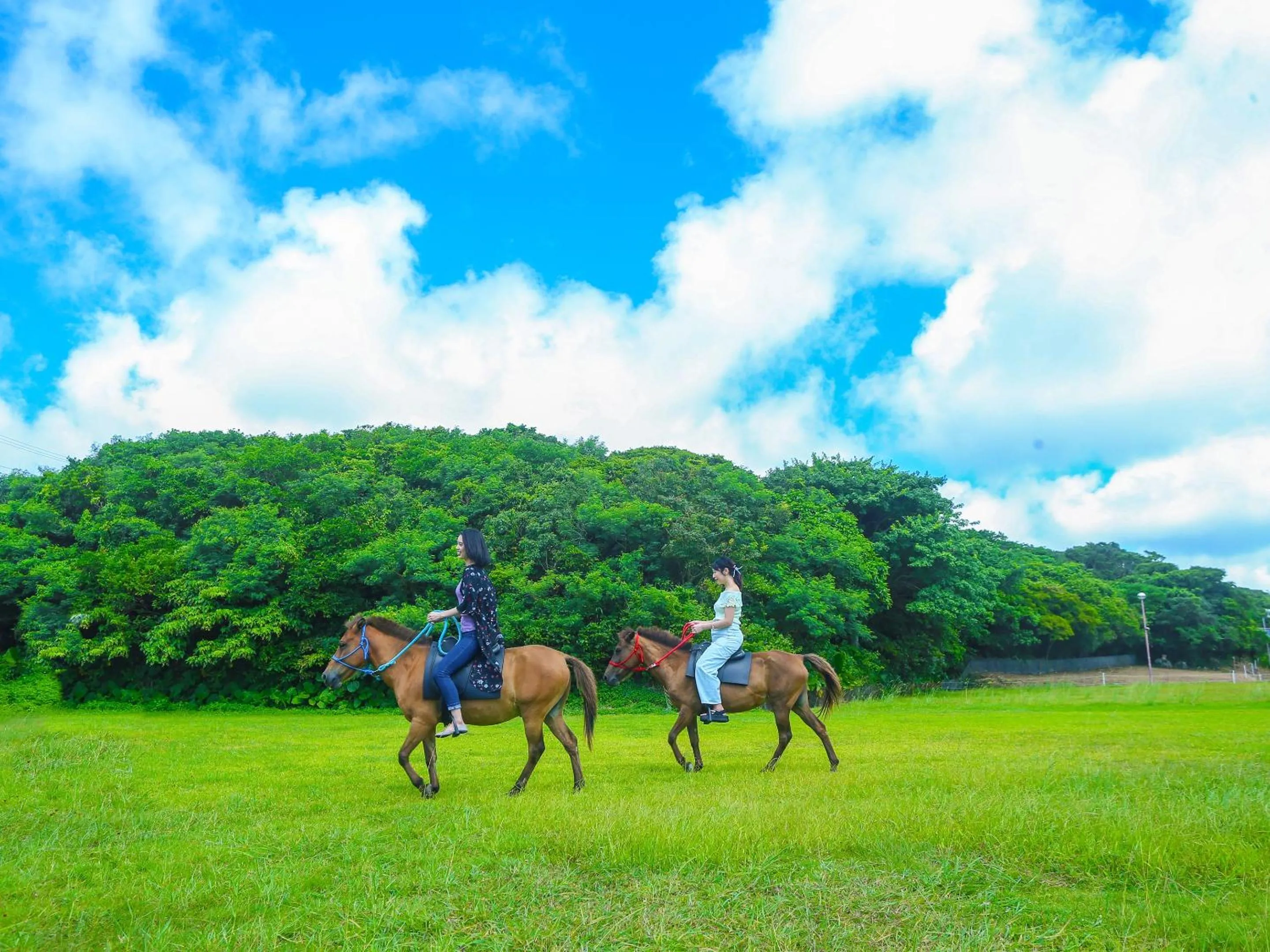 Activities in The Yuinchi Hotel Nanjo