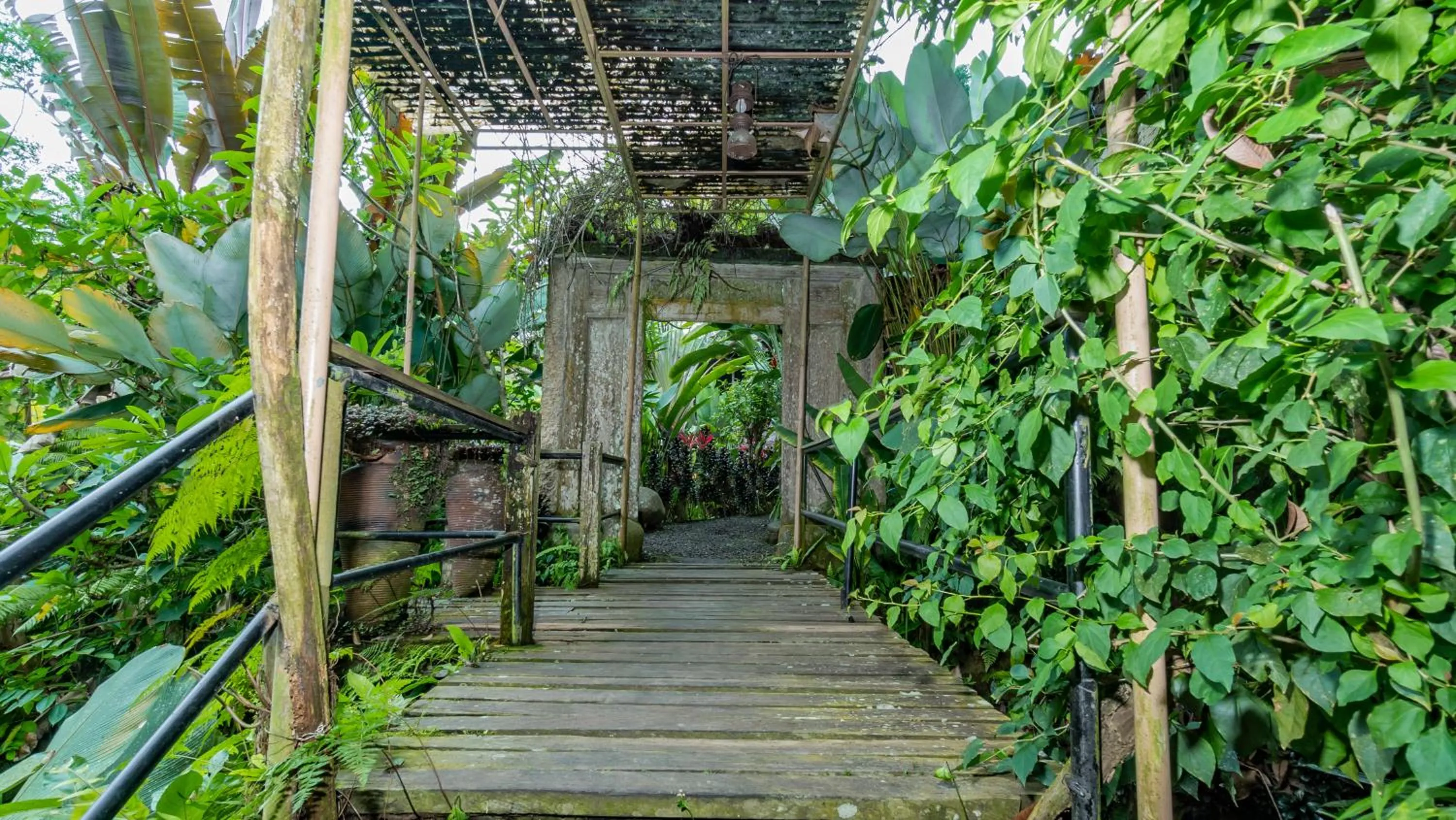 Spring in Umah Tis Sebatu