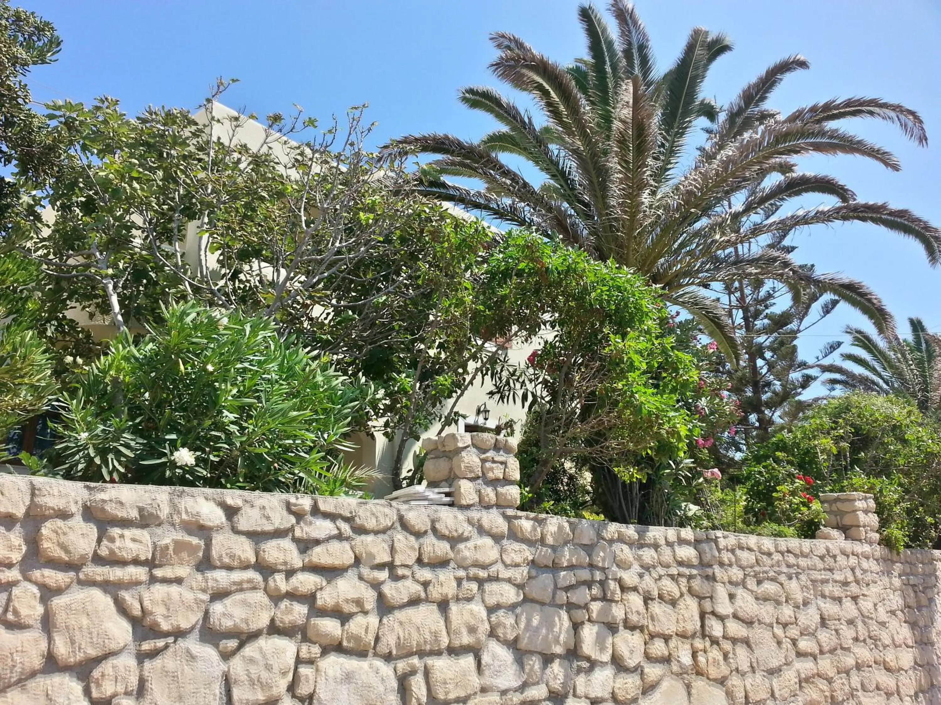 Garden in Montemar Studios & Apartments