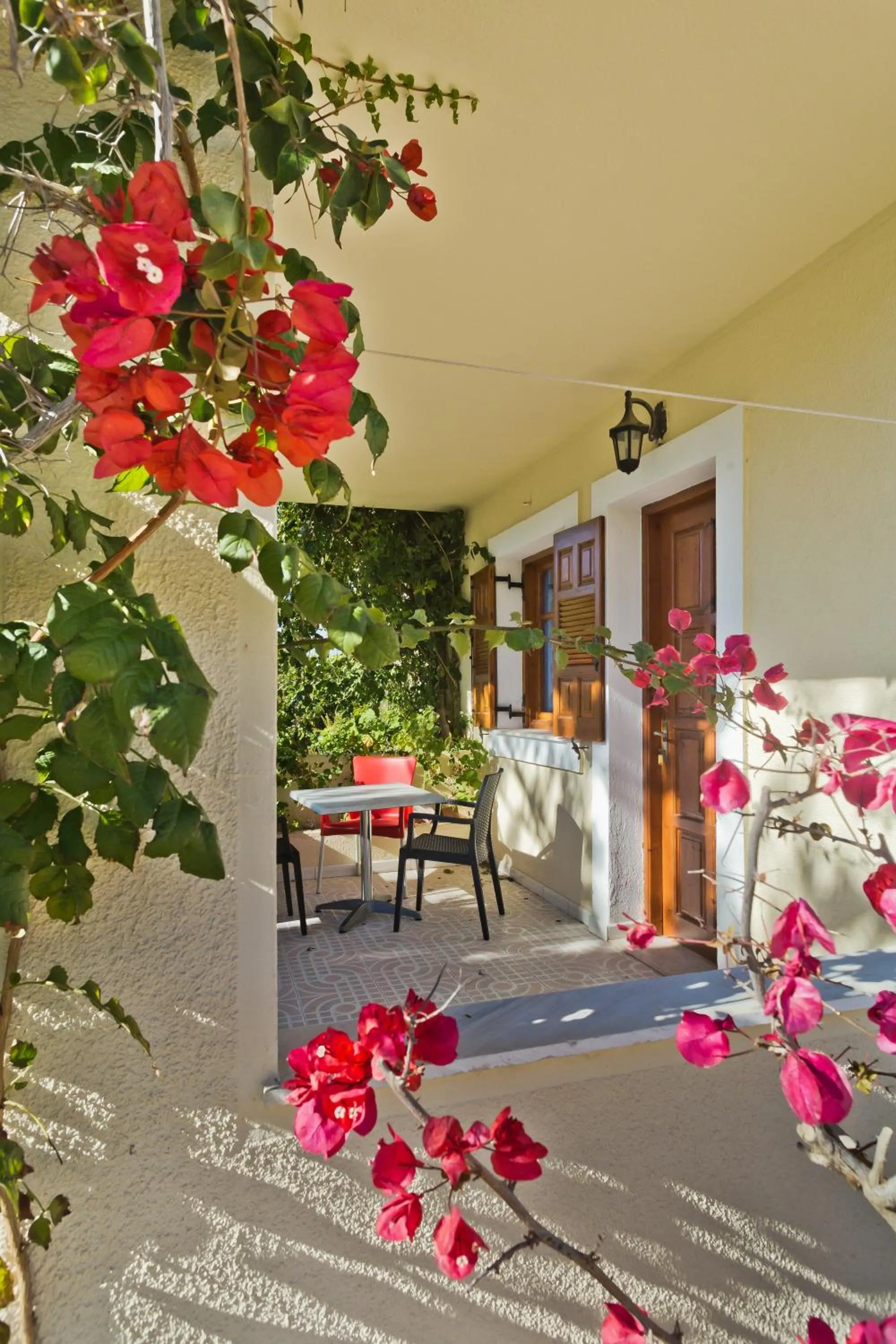 Garden view in Montemar Studios & Apartments