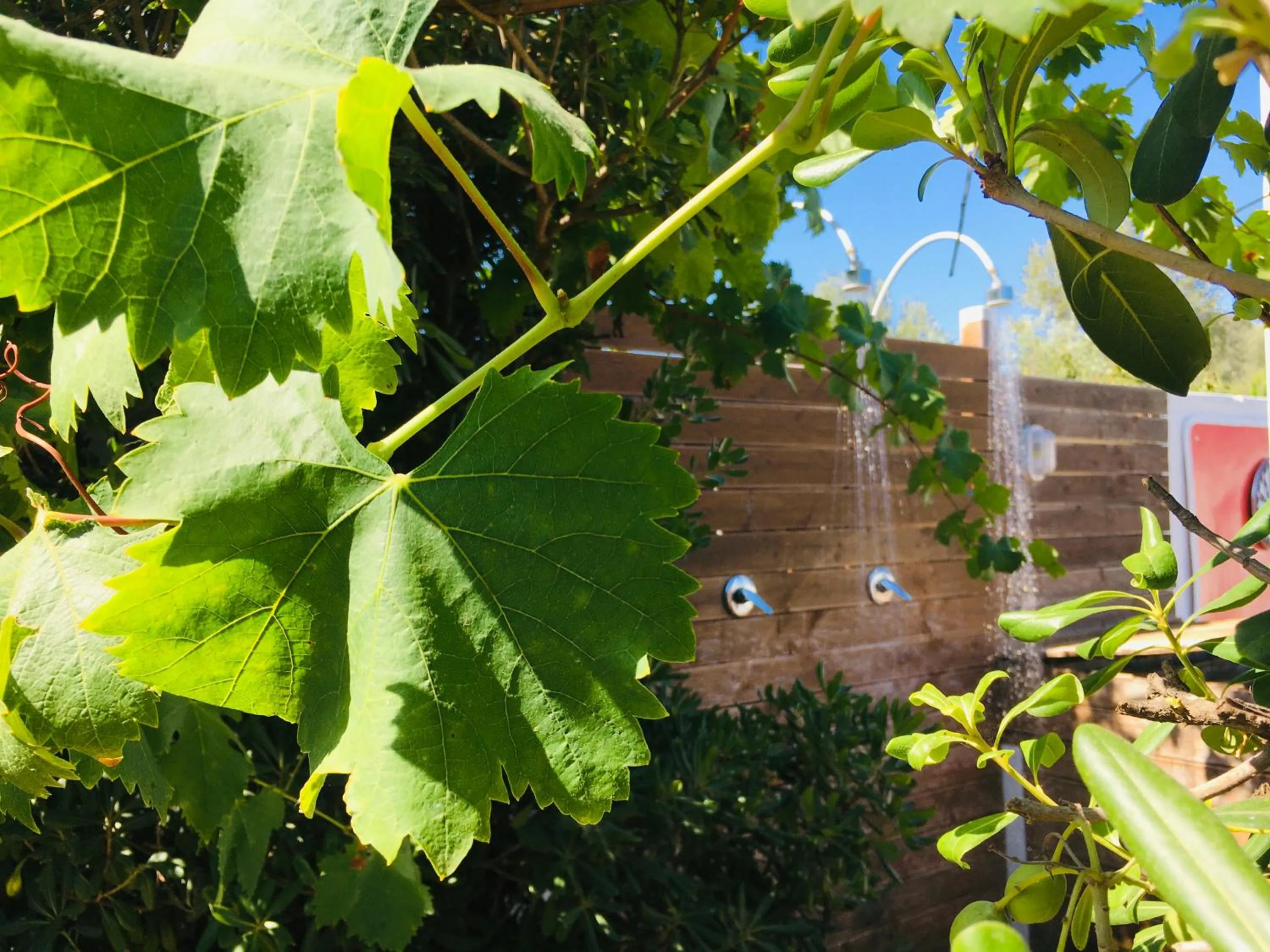 Shower in casa Namaste