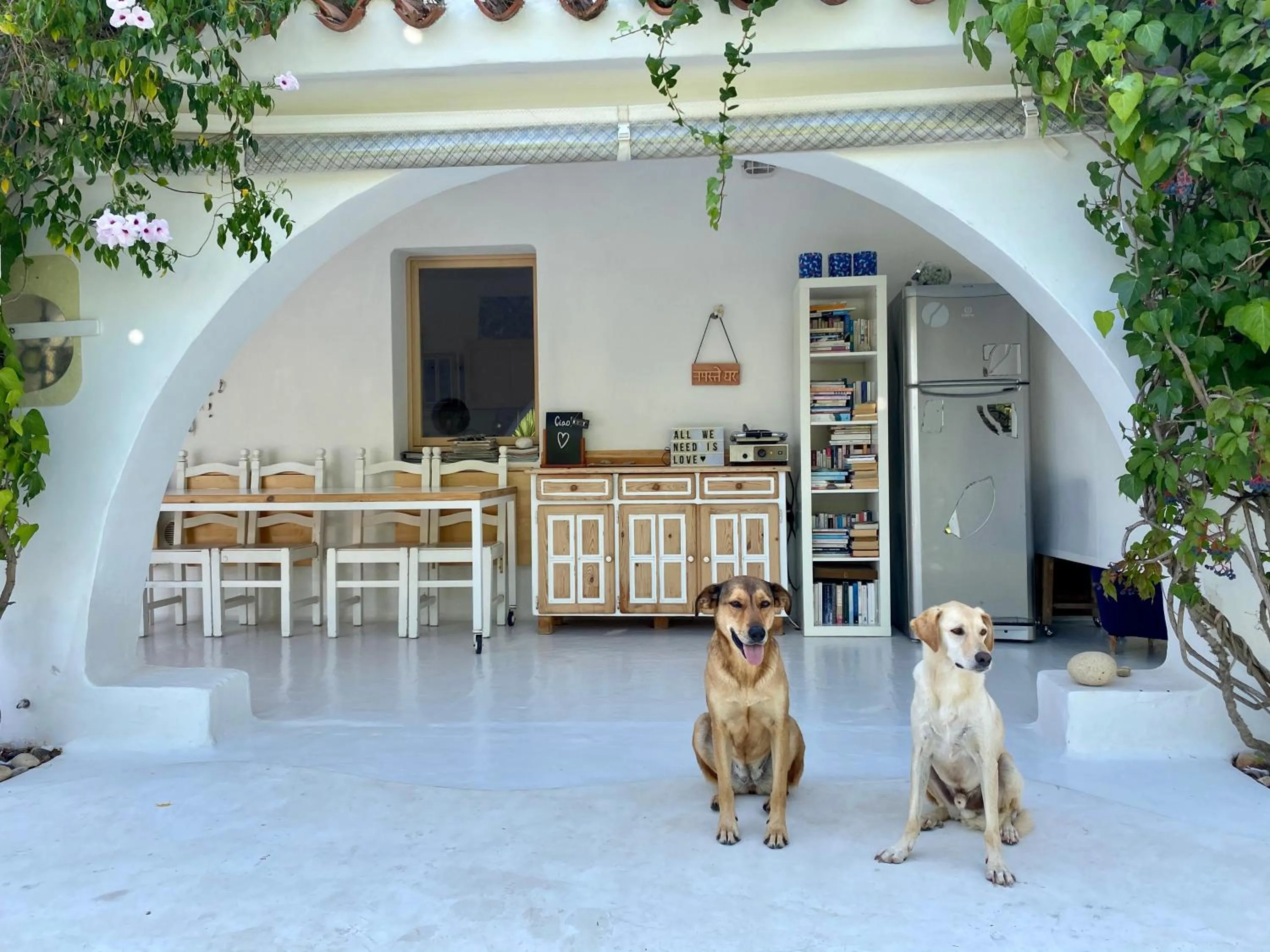 Pets in casa Namaste
