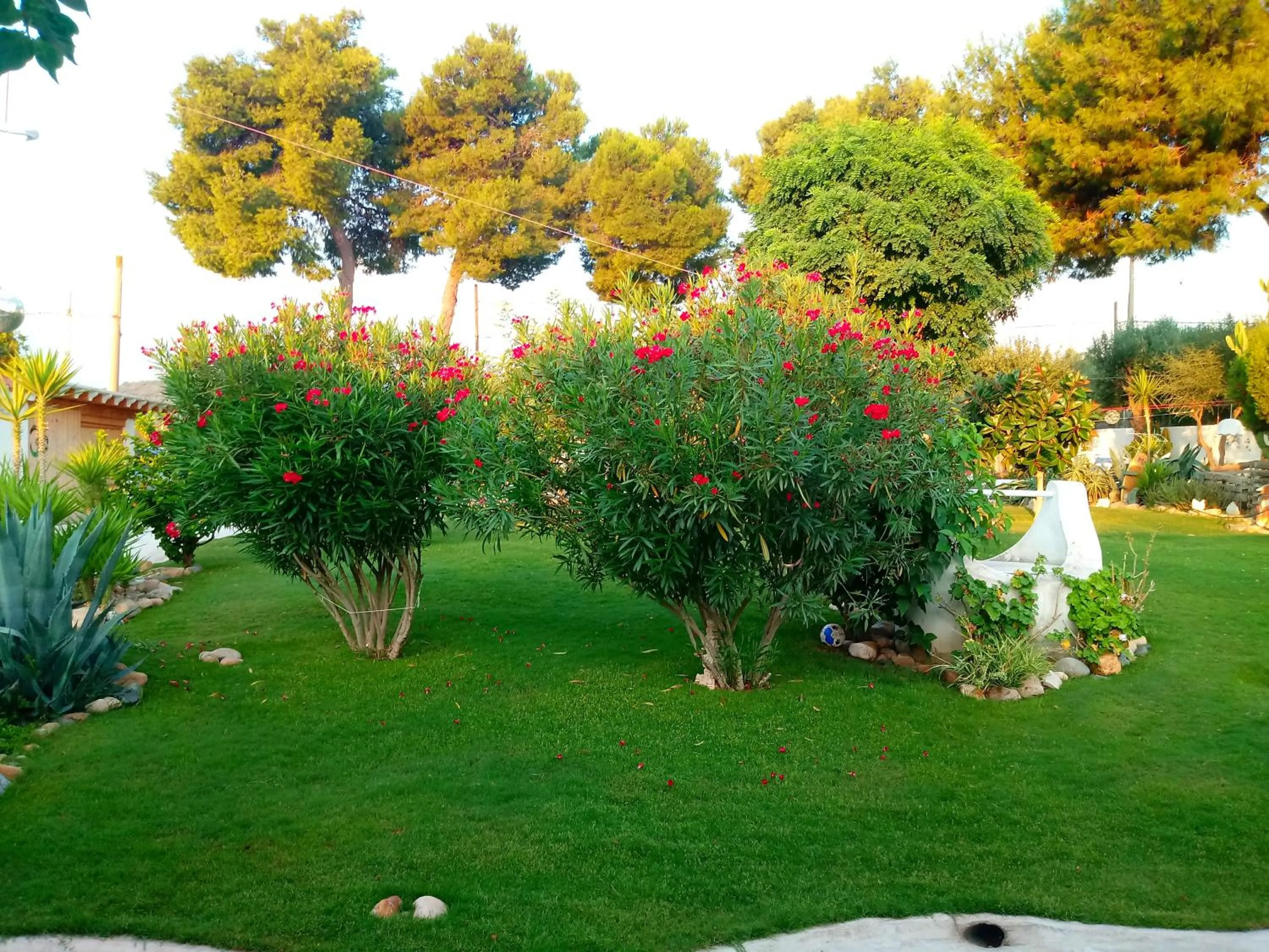 Garden in casa Namaste