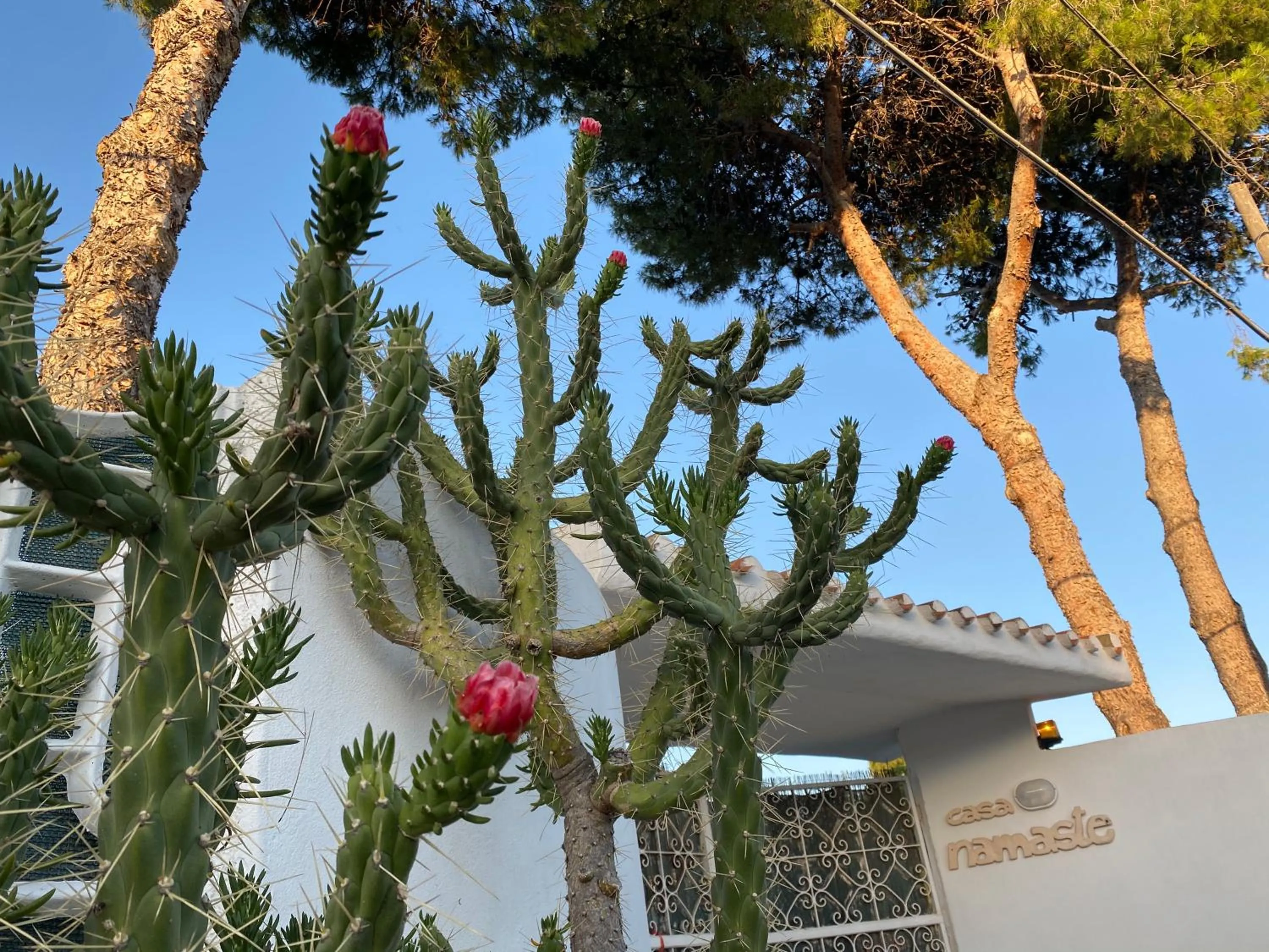 Facade/entrance in casa Namaste