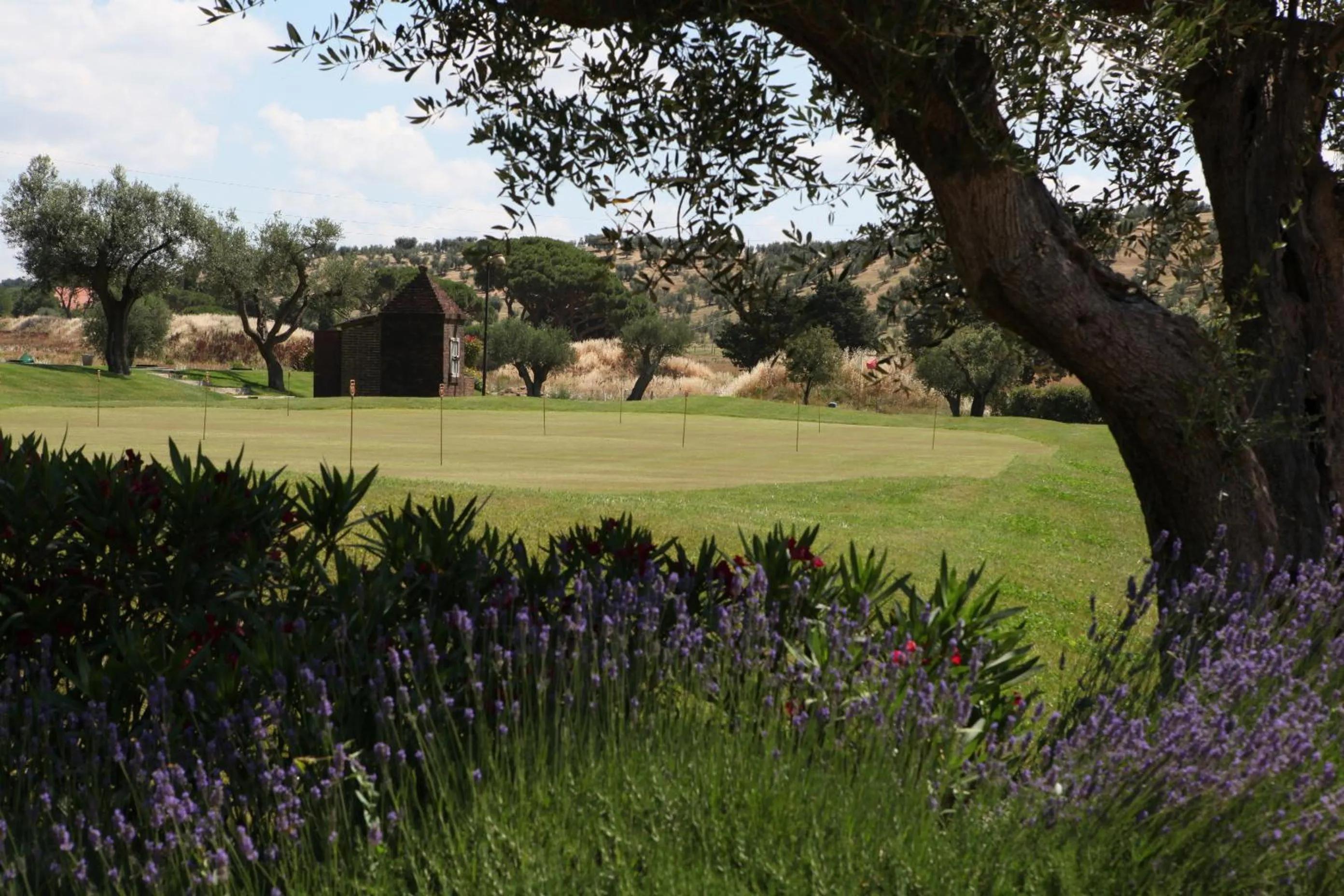 Garden in L'Andana Tenuta La Badiola