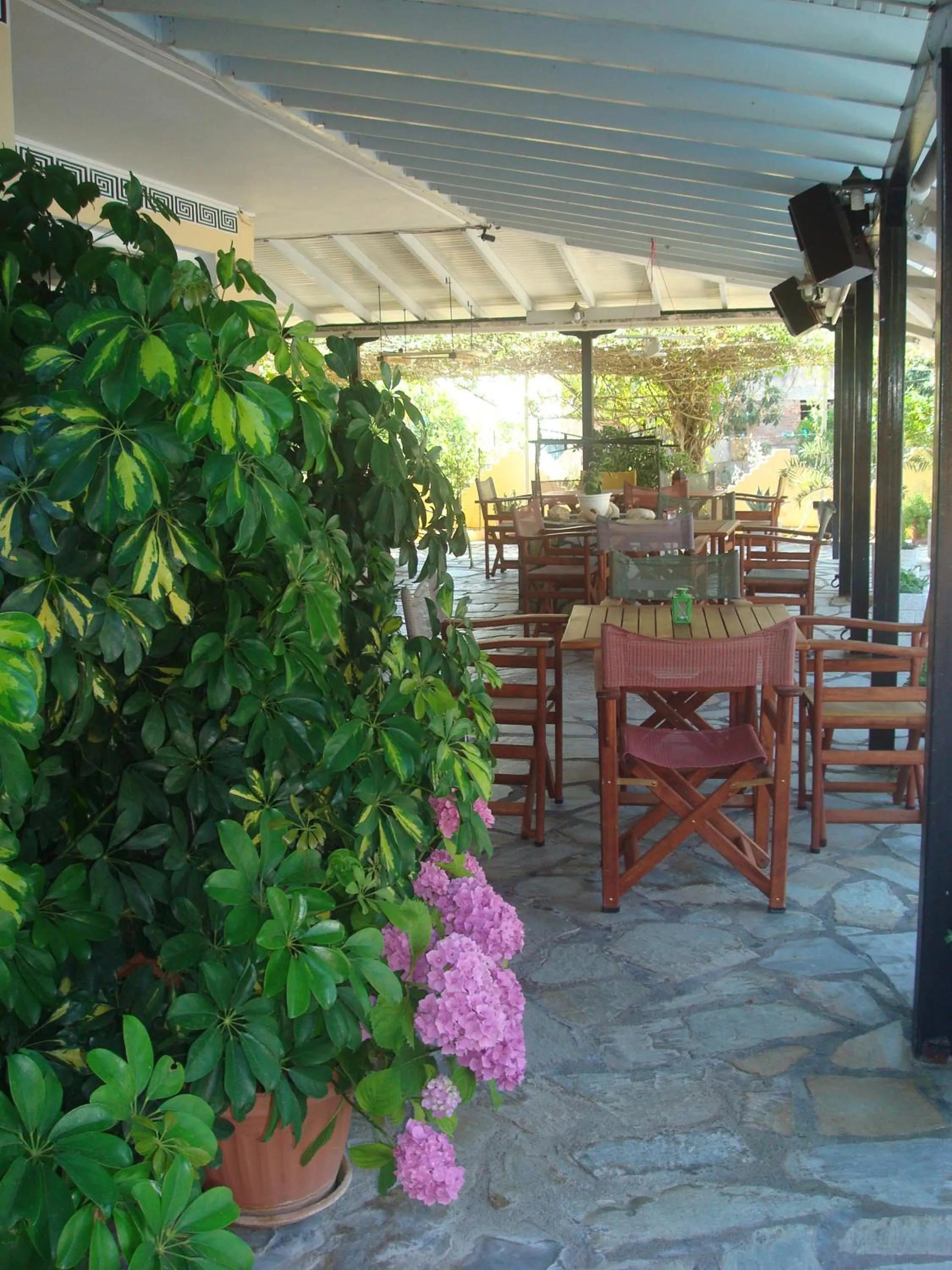 Patio in Polyxenis Rooms