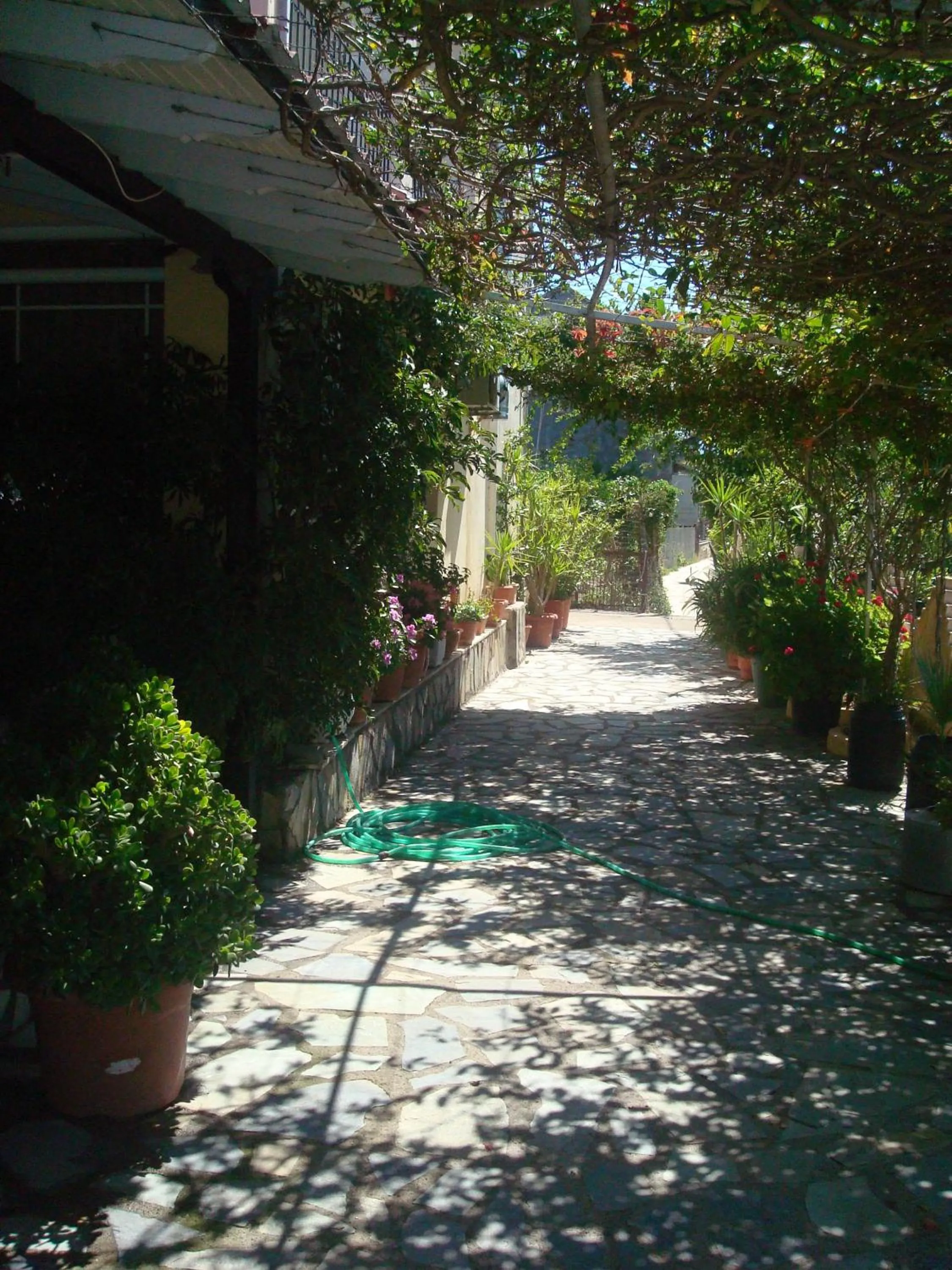 Day in Polyxenis Rooms