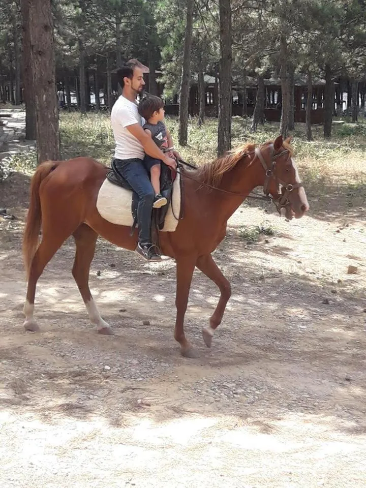 Property building in Castle Nolana