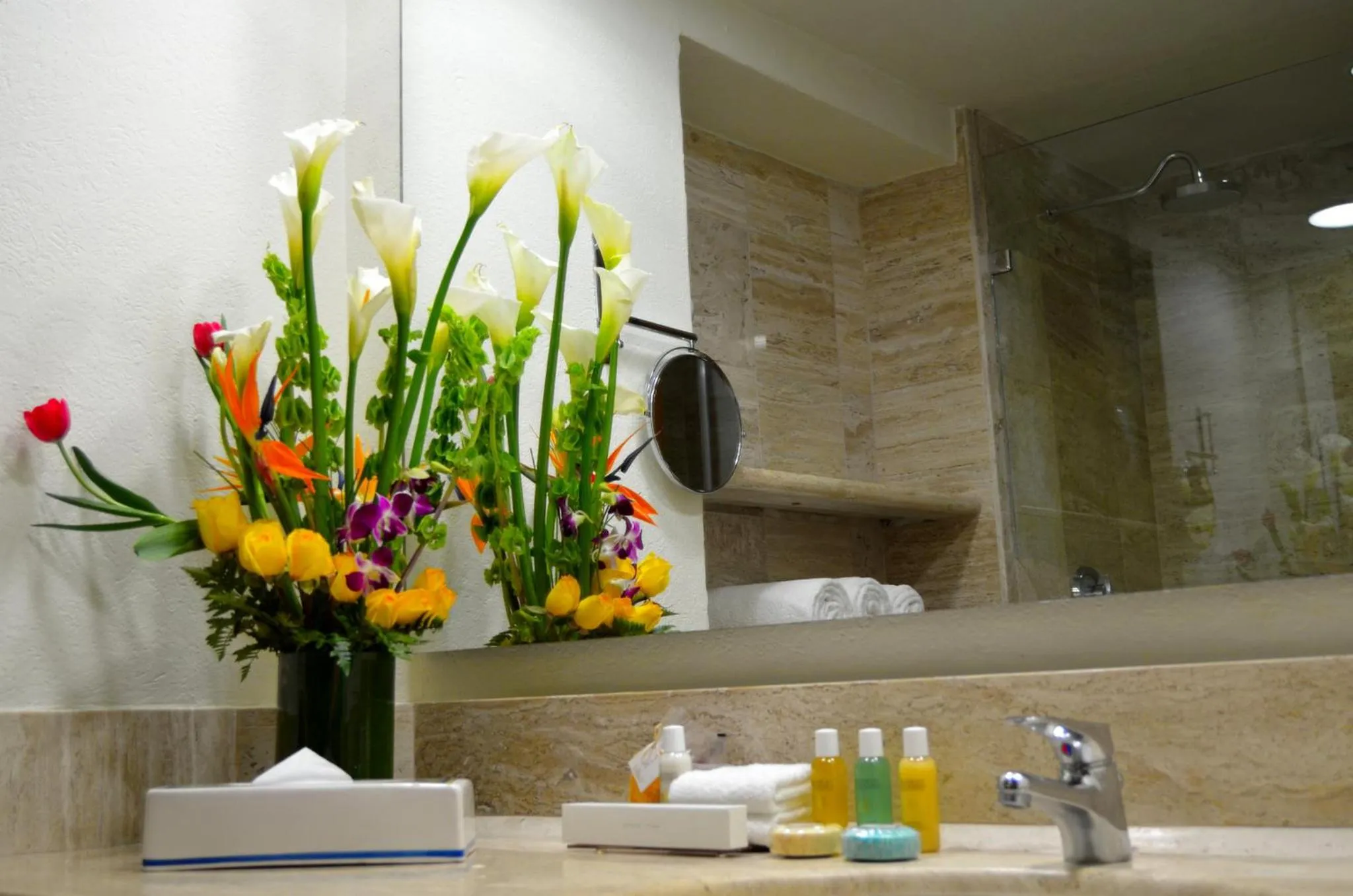 Bathroom in Fiesta Americana Puerto Vallarta All Inclusive & Spa