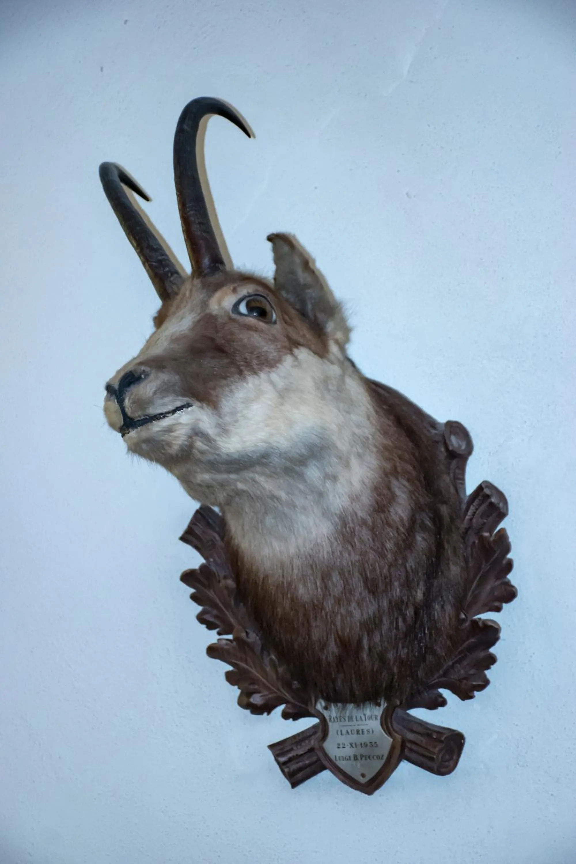 Property building in Hotel La Villa della Regina