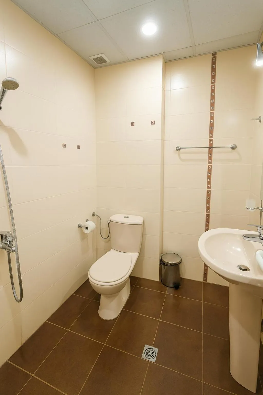 Shower in Hotel Avis