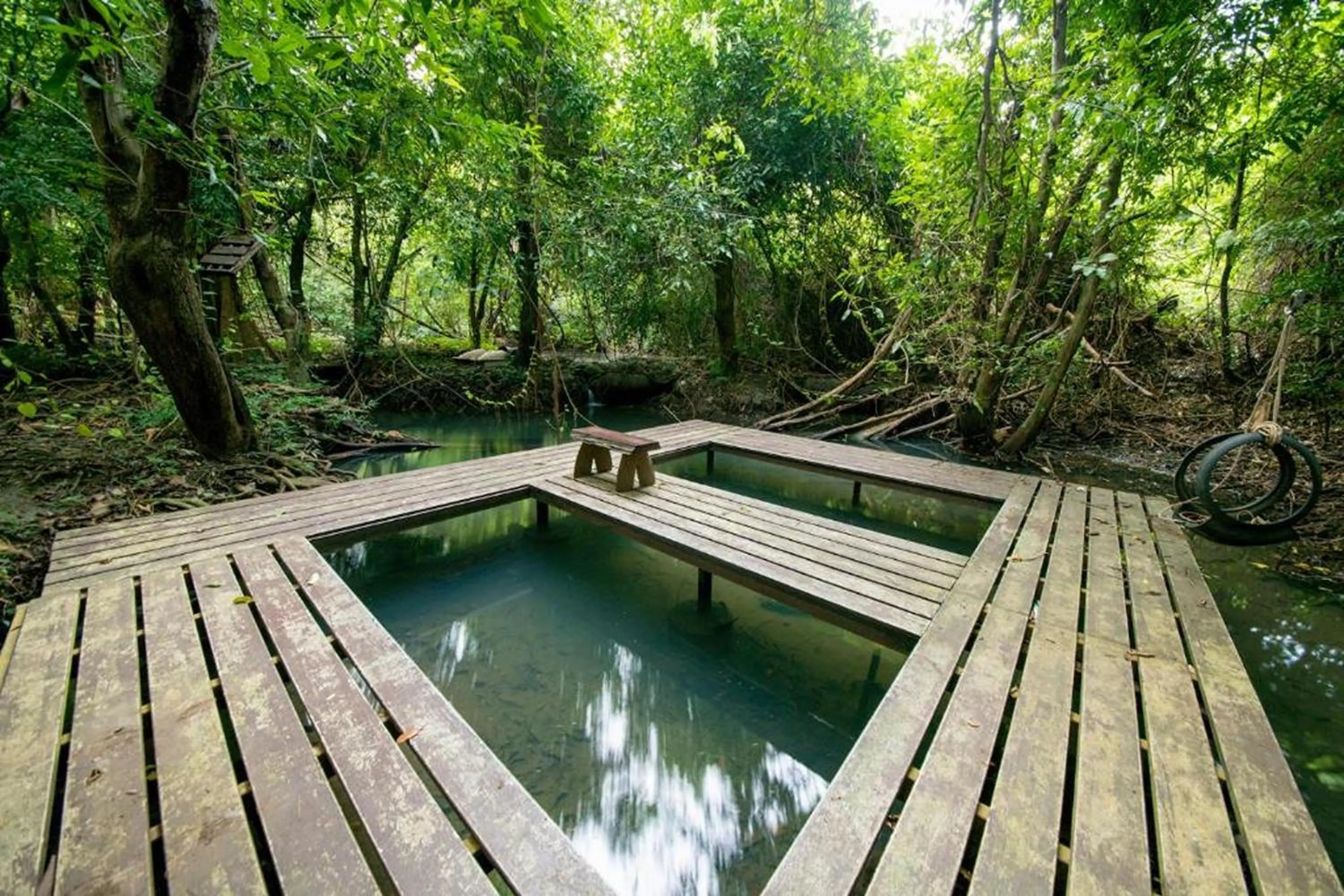 Day in Tontarn Resort and Spa