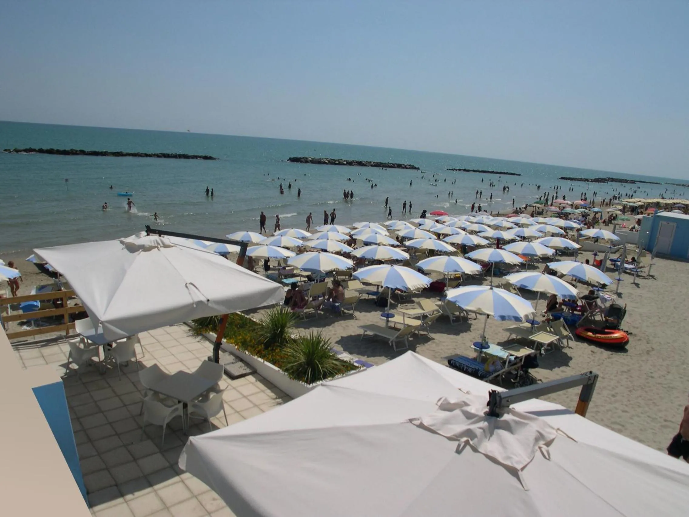 Other in Residence I Delfini