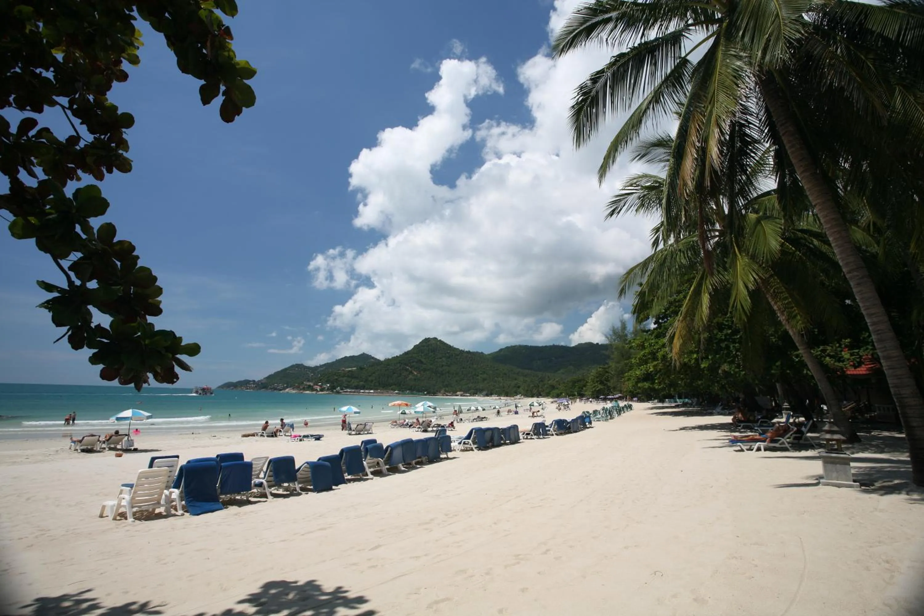 Beach in Samui First House Hotel