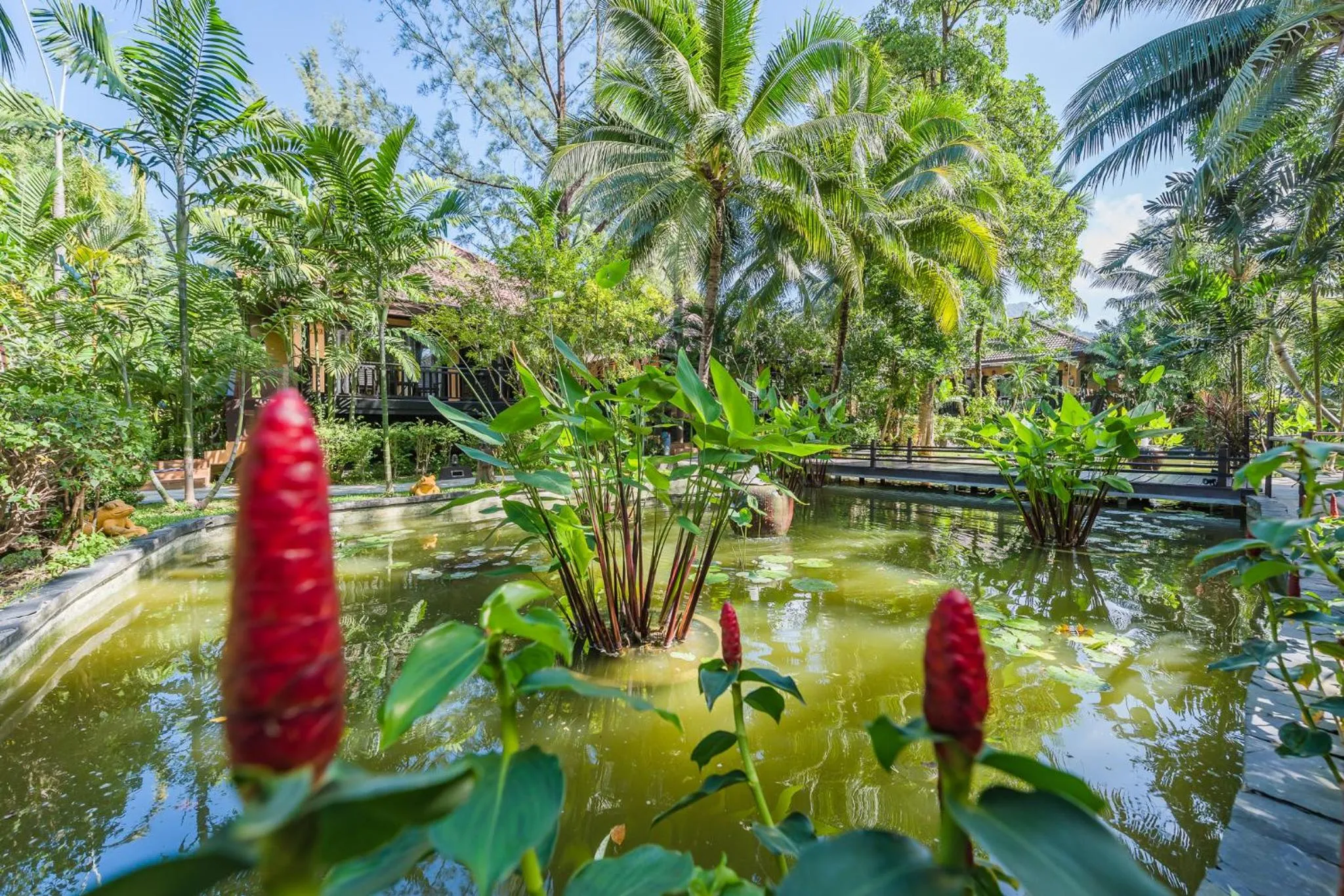 Natural landscape in Princess Kamala Beachfront Hotel - SHA Extra Plus