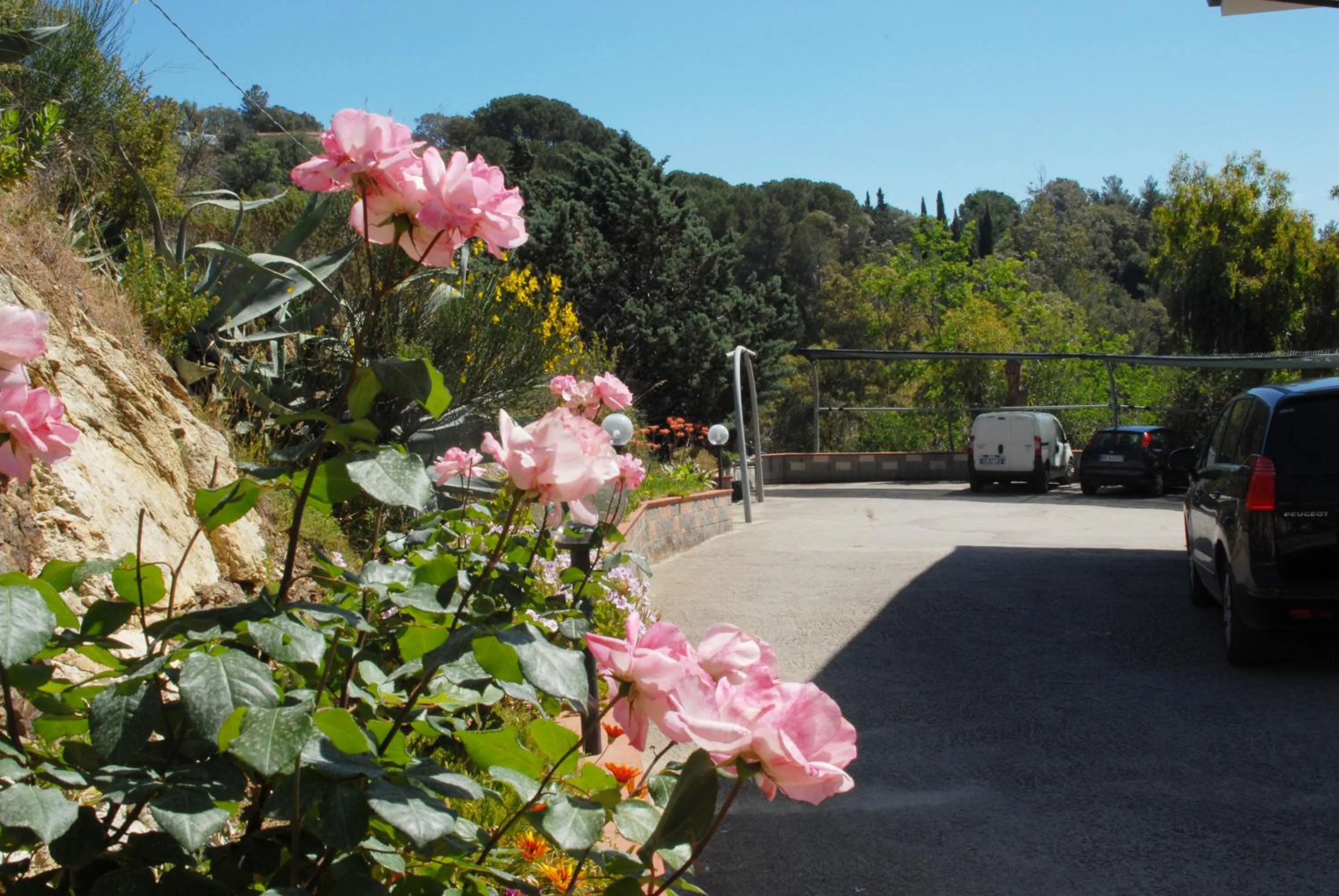 Area and facilities in Residence Reale