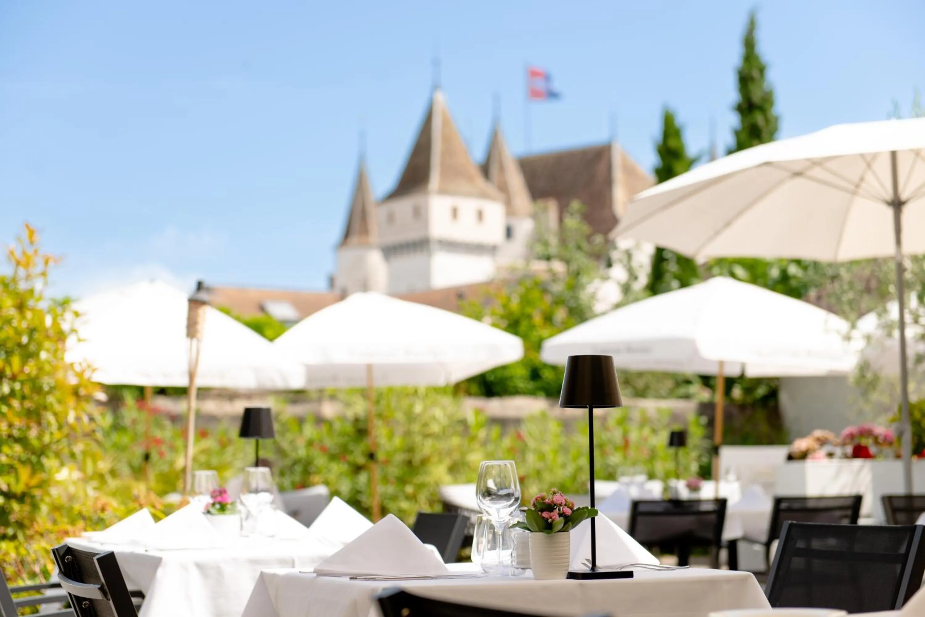 Garden in Ambassador Boutique Hotel