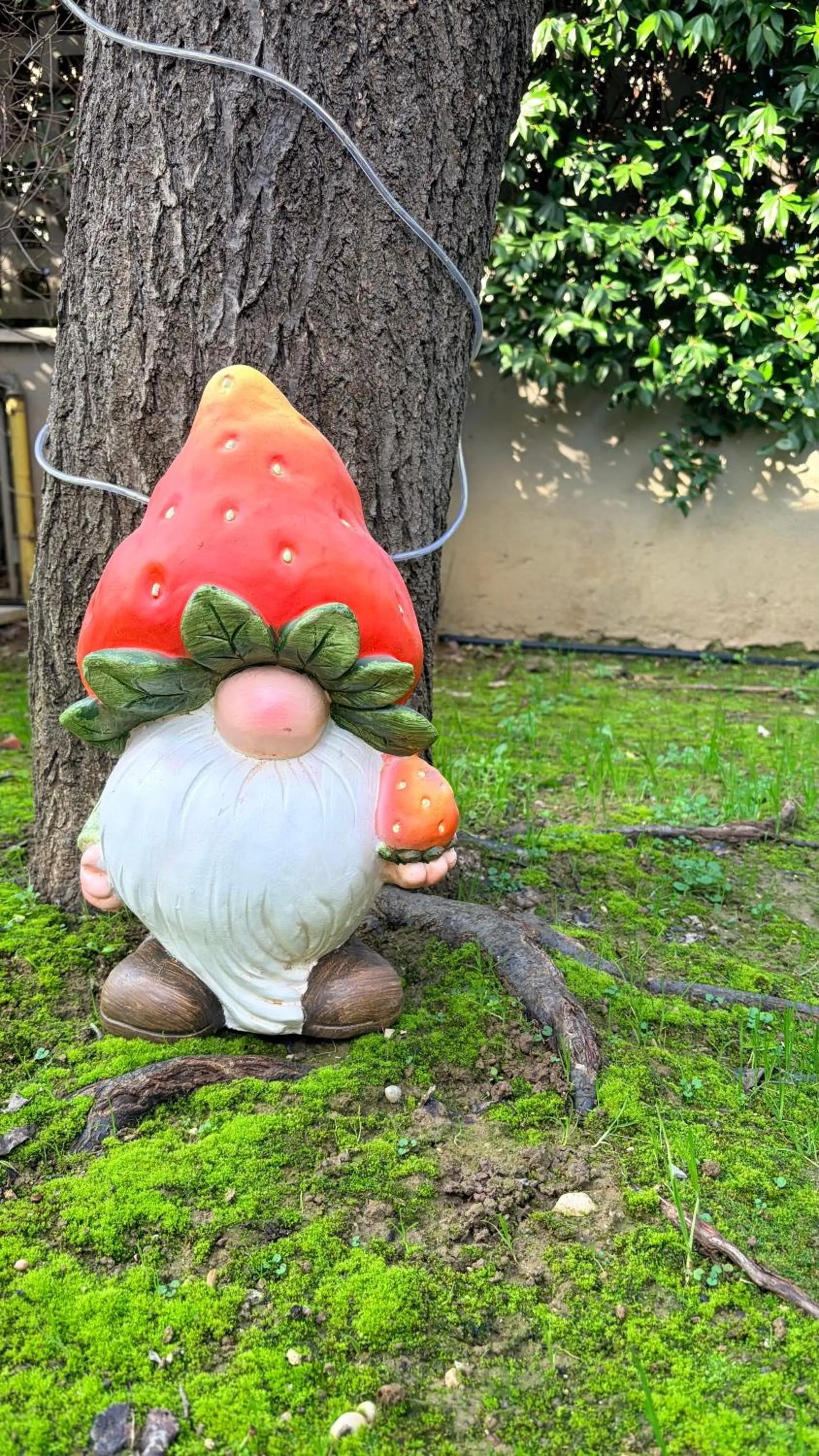 Garden in Bedrooms B&B