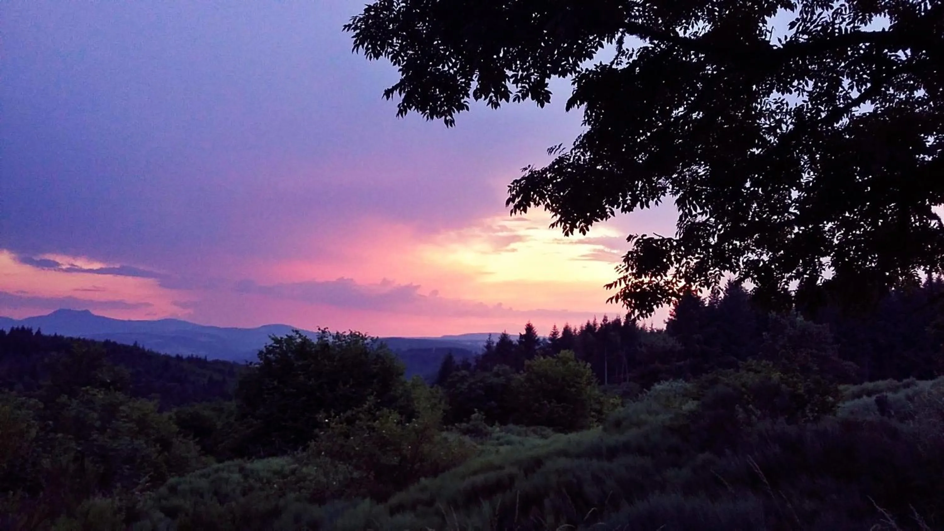 Natural landscape in Domaine de Rilhac