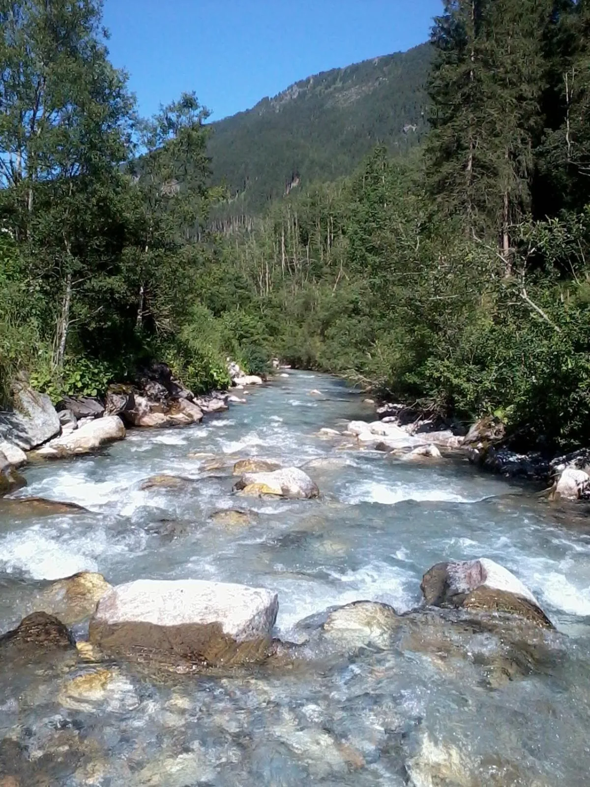 Activities in Hotel Garni Forelle