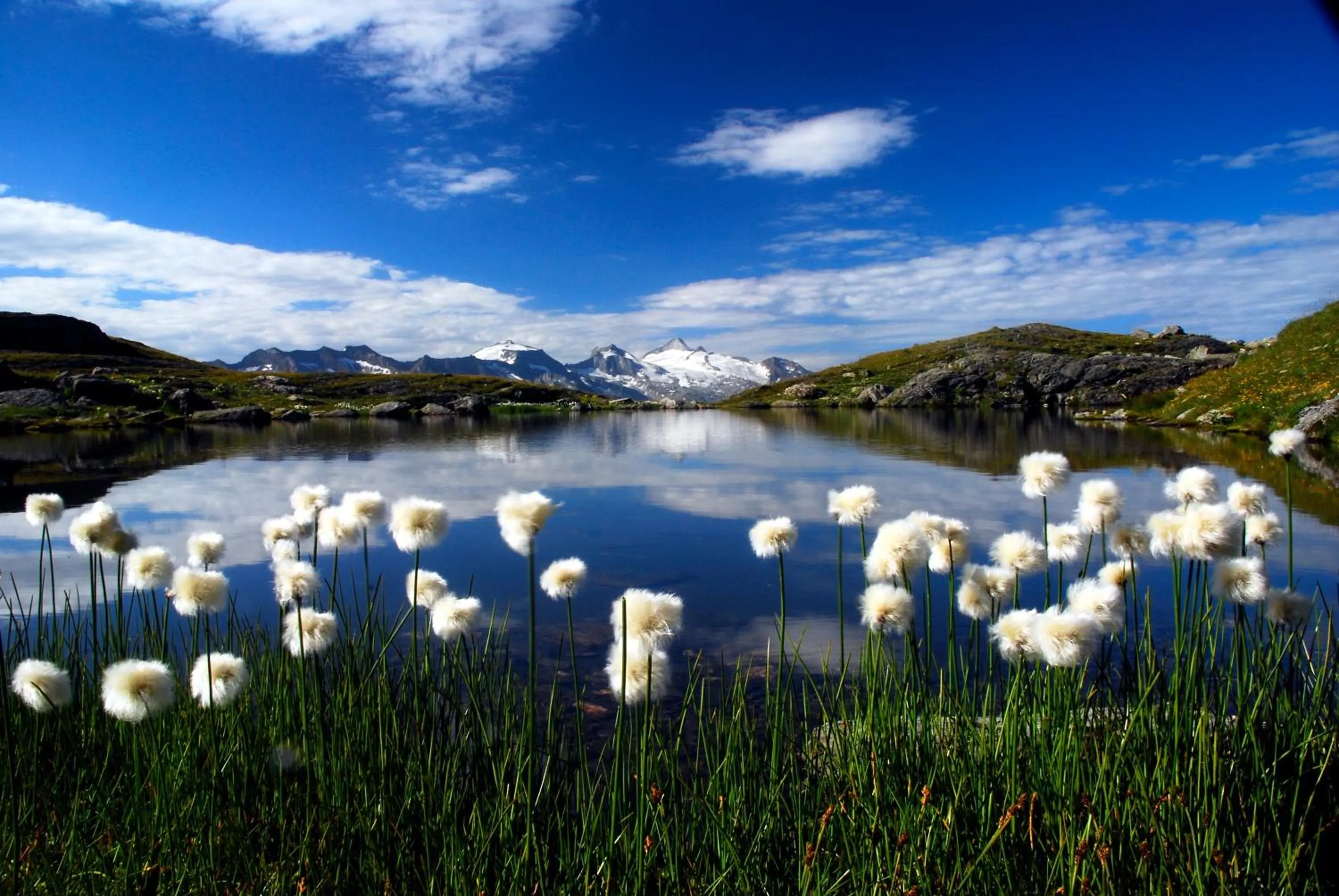 Summer in Hotel Garni Forelle