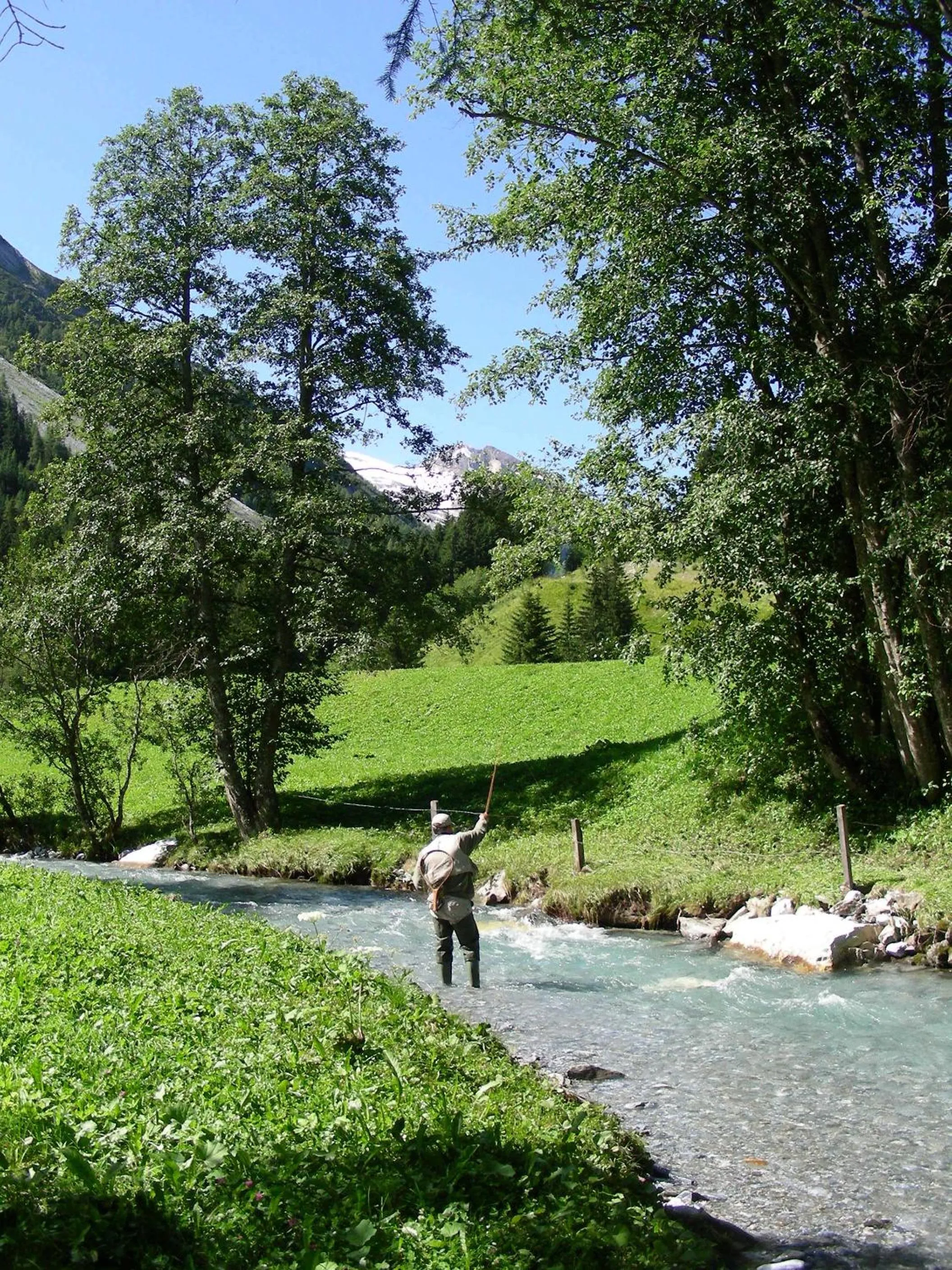 Fishing in Hotel Garni Forelle