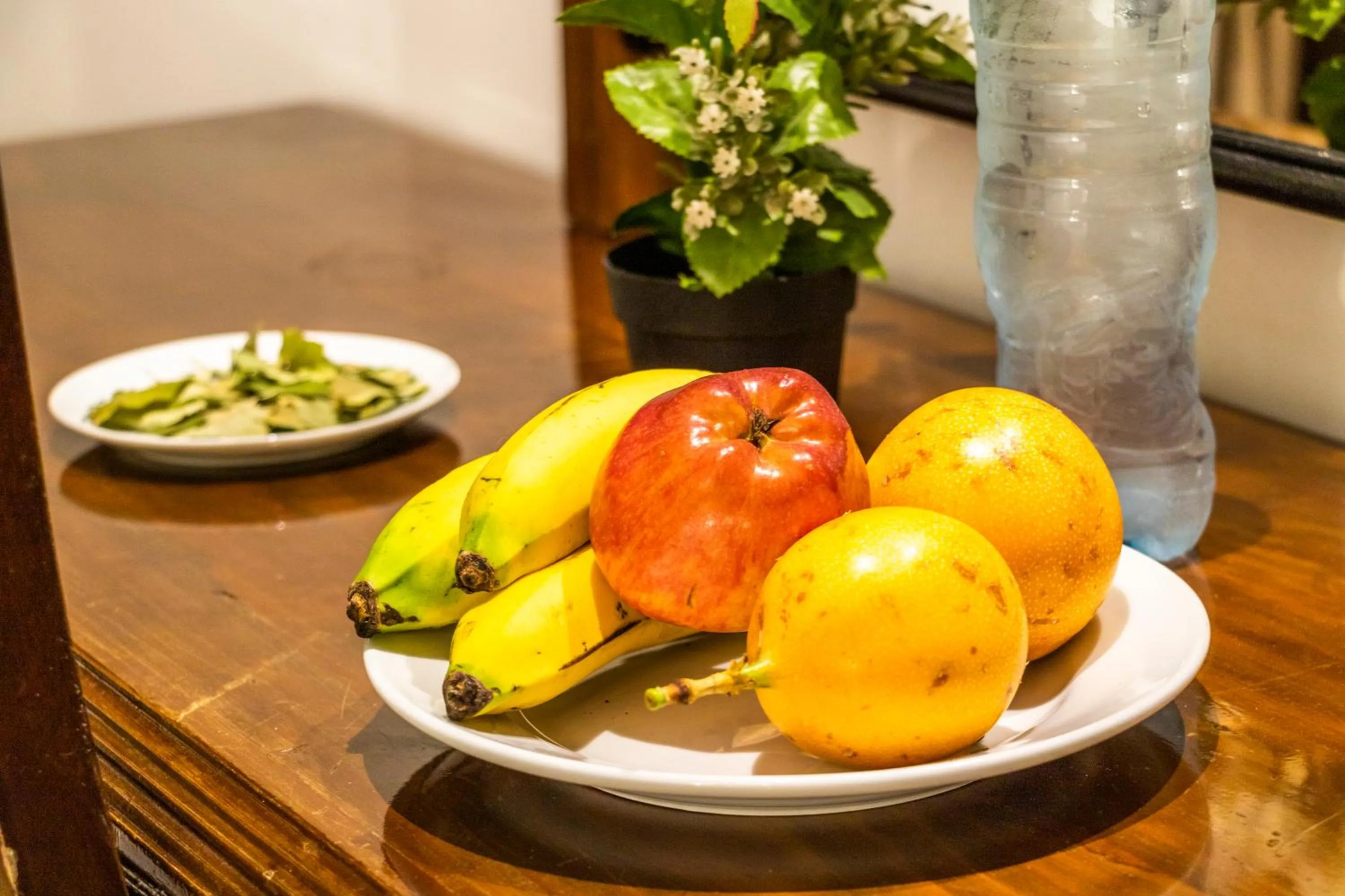 Gringo Bill's Boutique Hotel