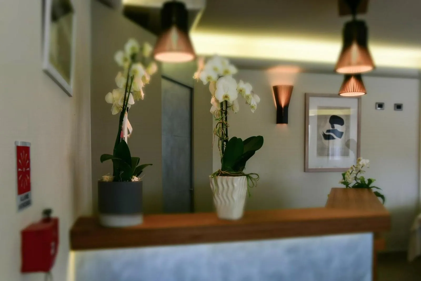 Lobby or reception in Hotel Sirenetta