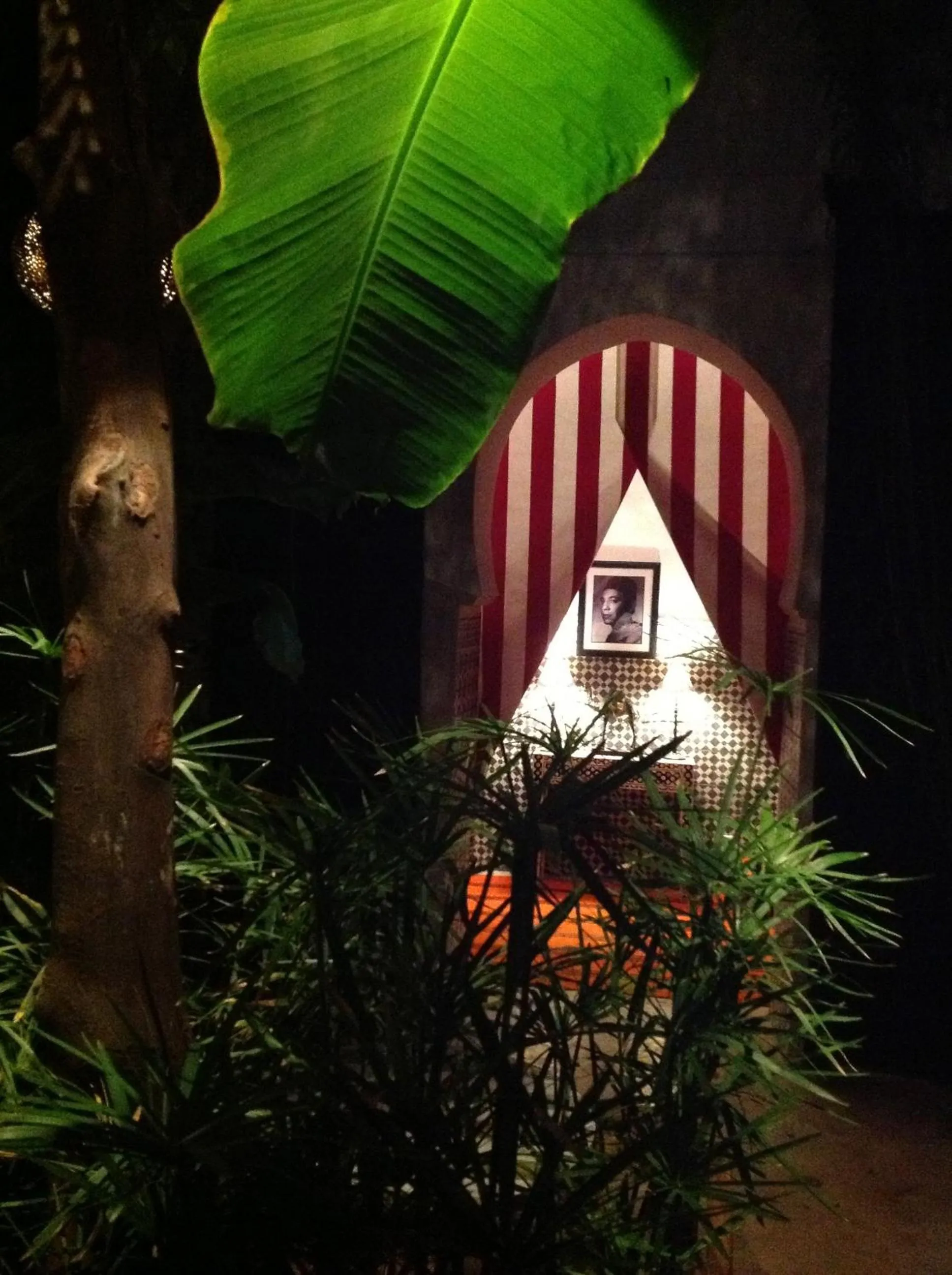 Night in Riad Tibibt