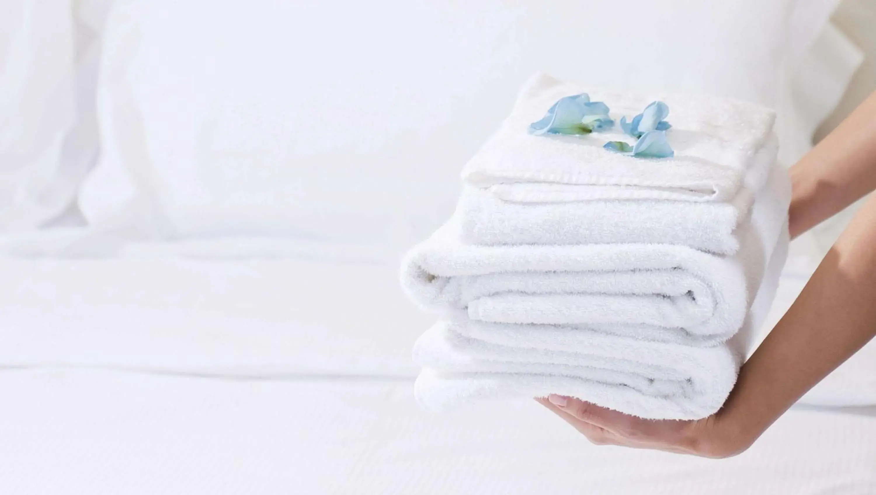 King Room - Non-Smoking in Magnuson Hotel Fowlerville King Room - Non-Smoking in Magnuson Hotel Fowlerville