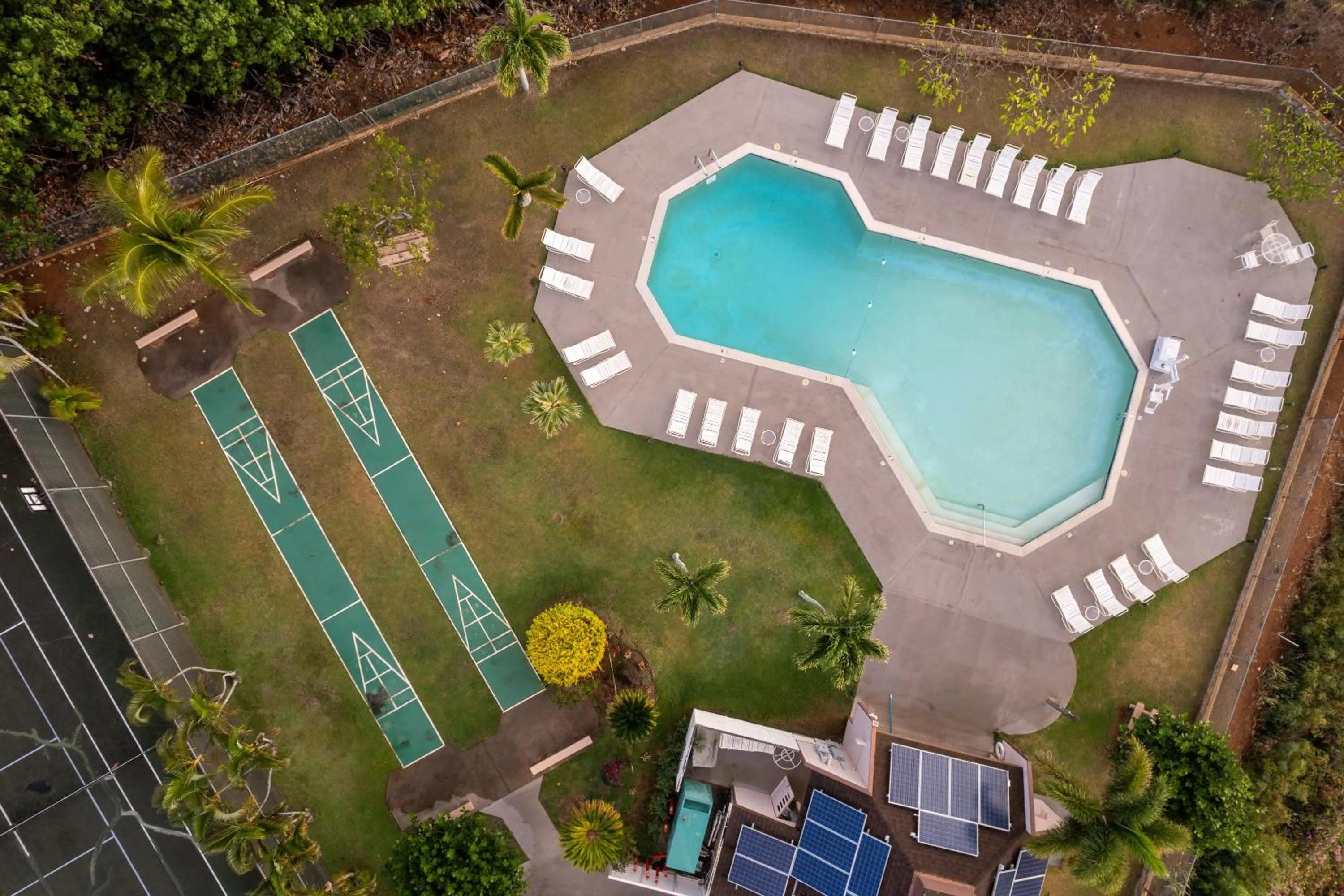Swimming pool in Banyan Harbor Resort