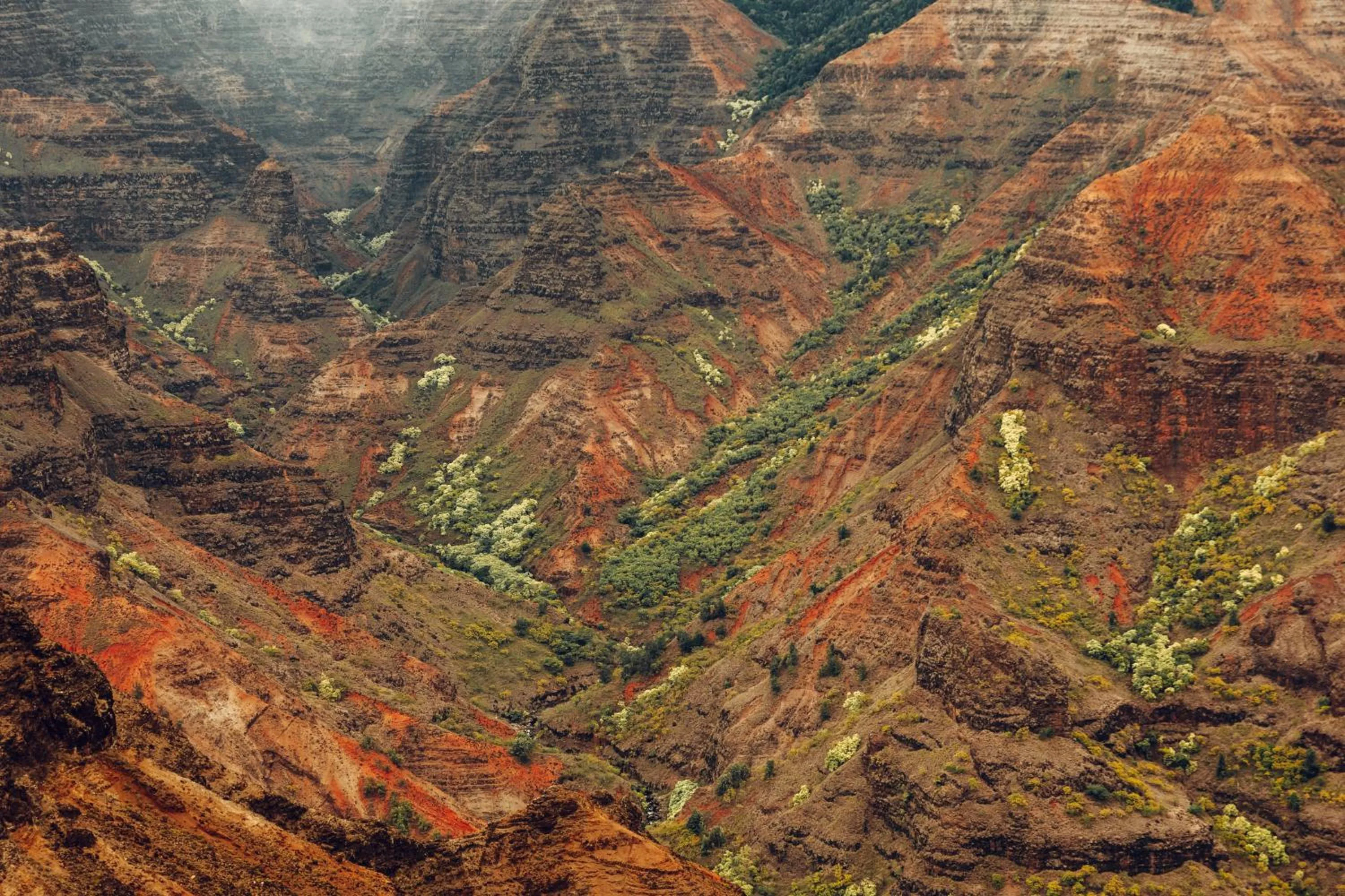 Natural landscape in Banyan Harbor Resort