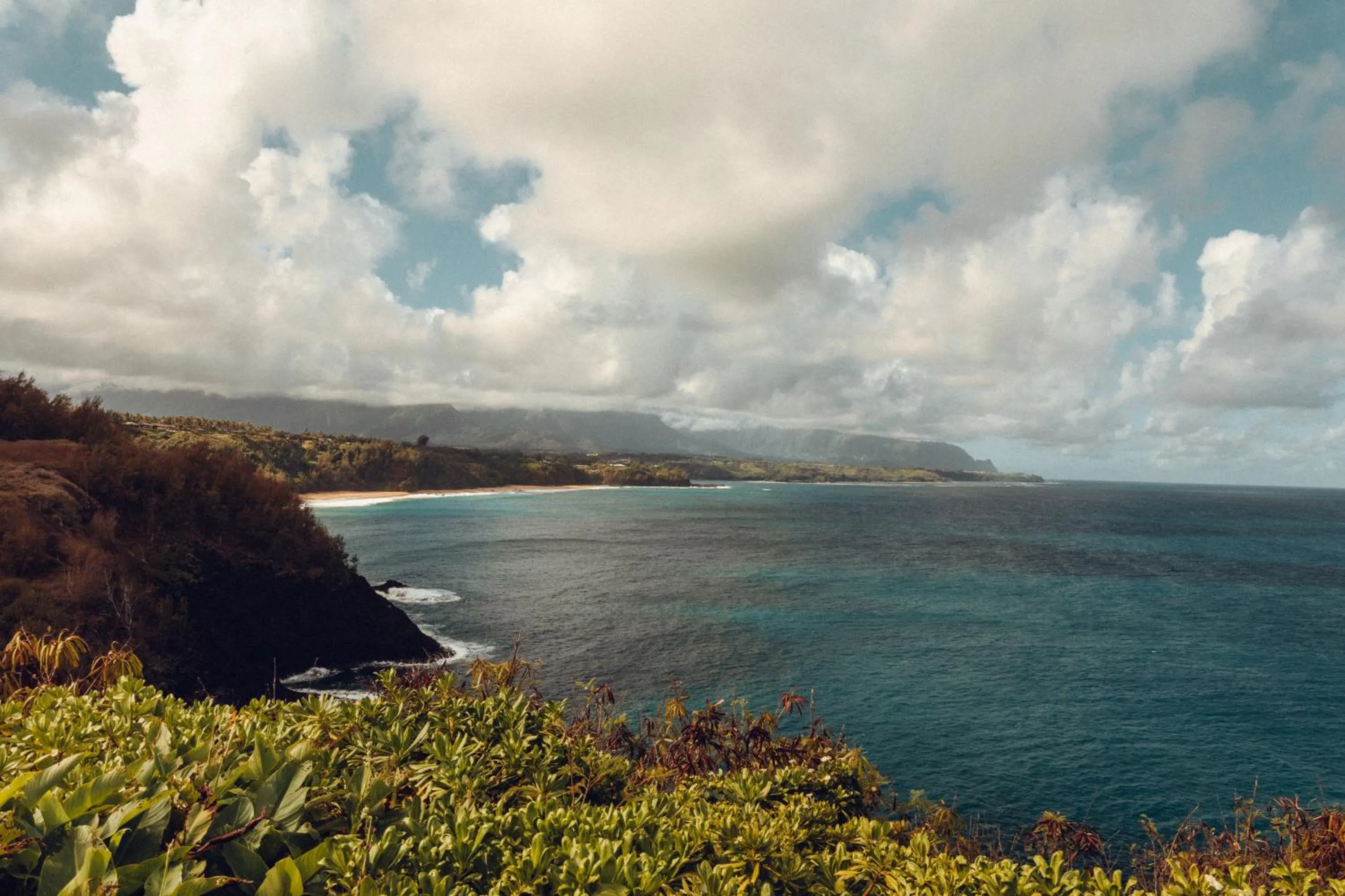 Natural landscape in Banyan Harbor Resort