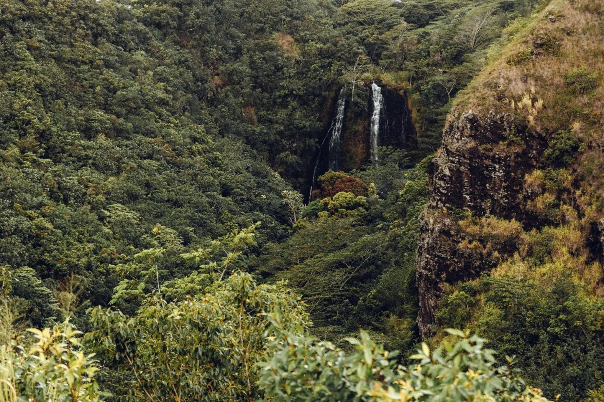 Other in Banyan Harbor Resort
