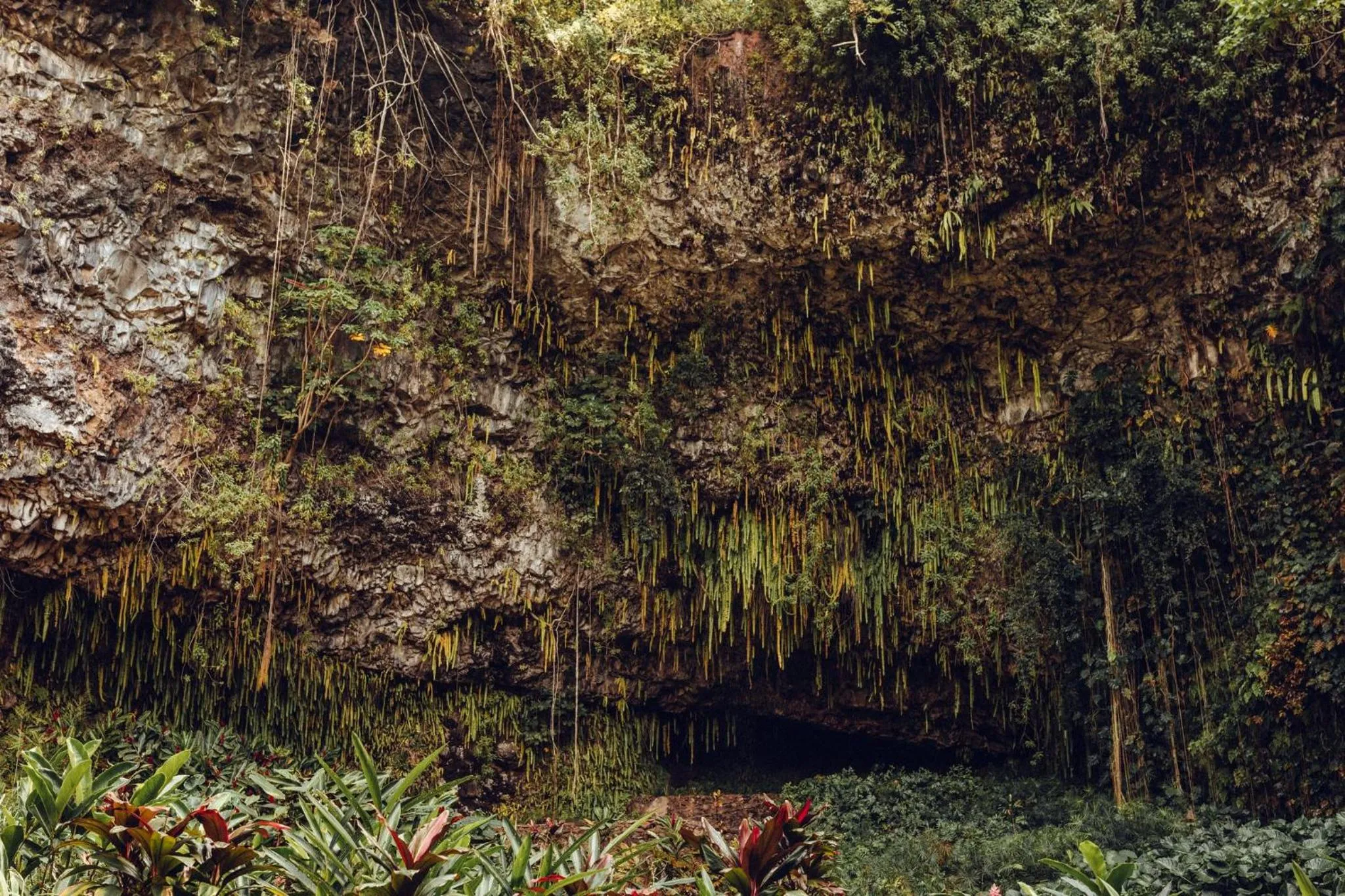 Other in Banyan Harbor Resort