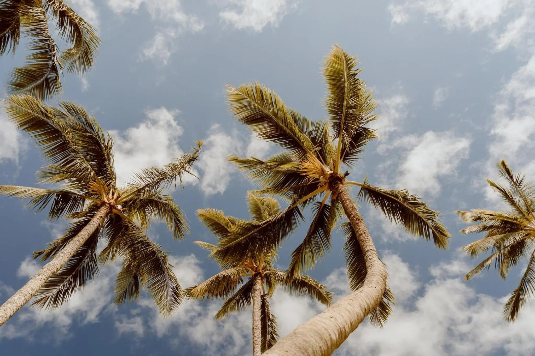 Other in Banyan Harbor Resort