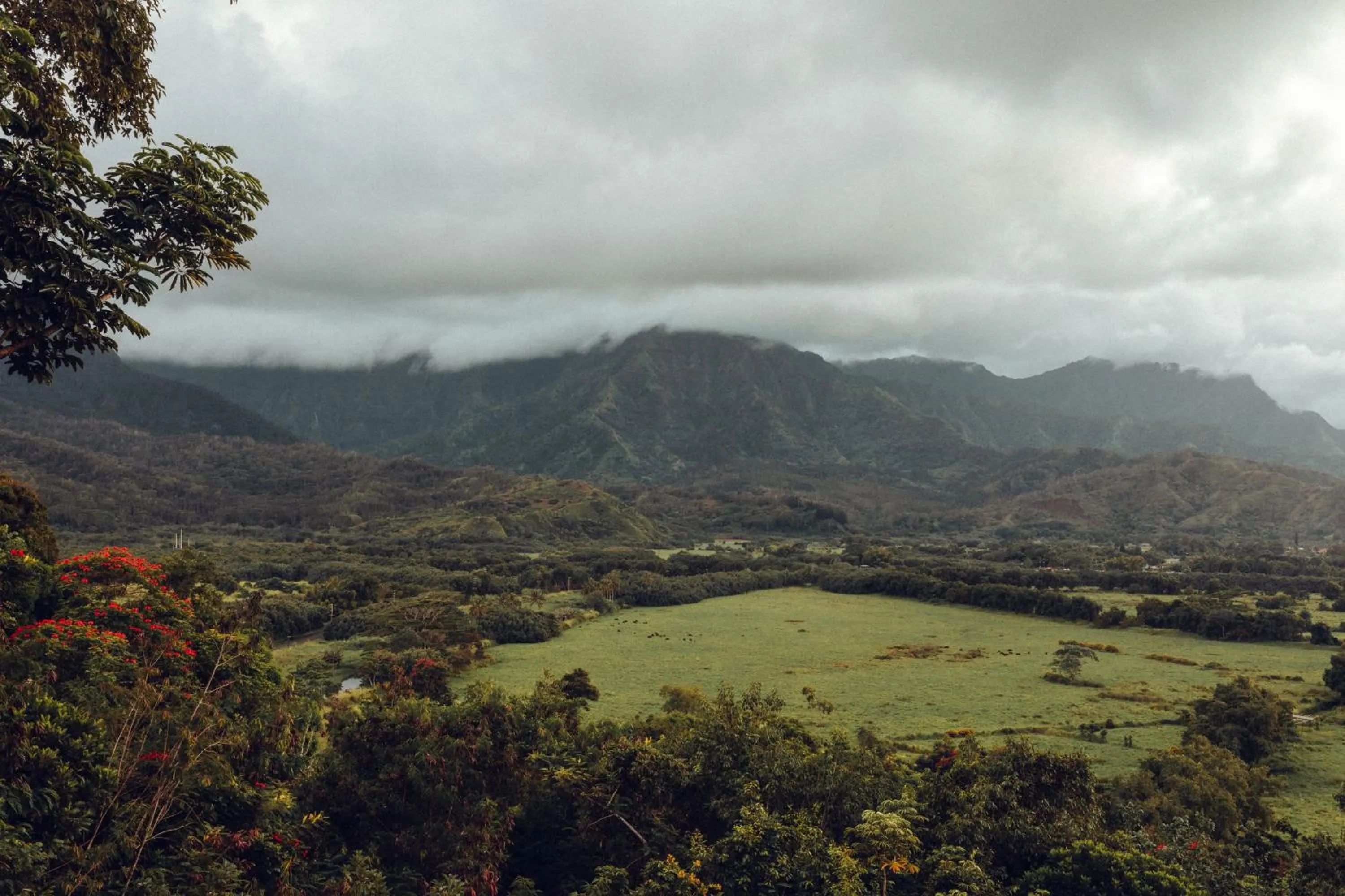 Activities in Banyan Harbor Resort