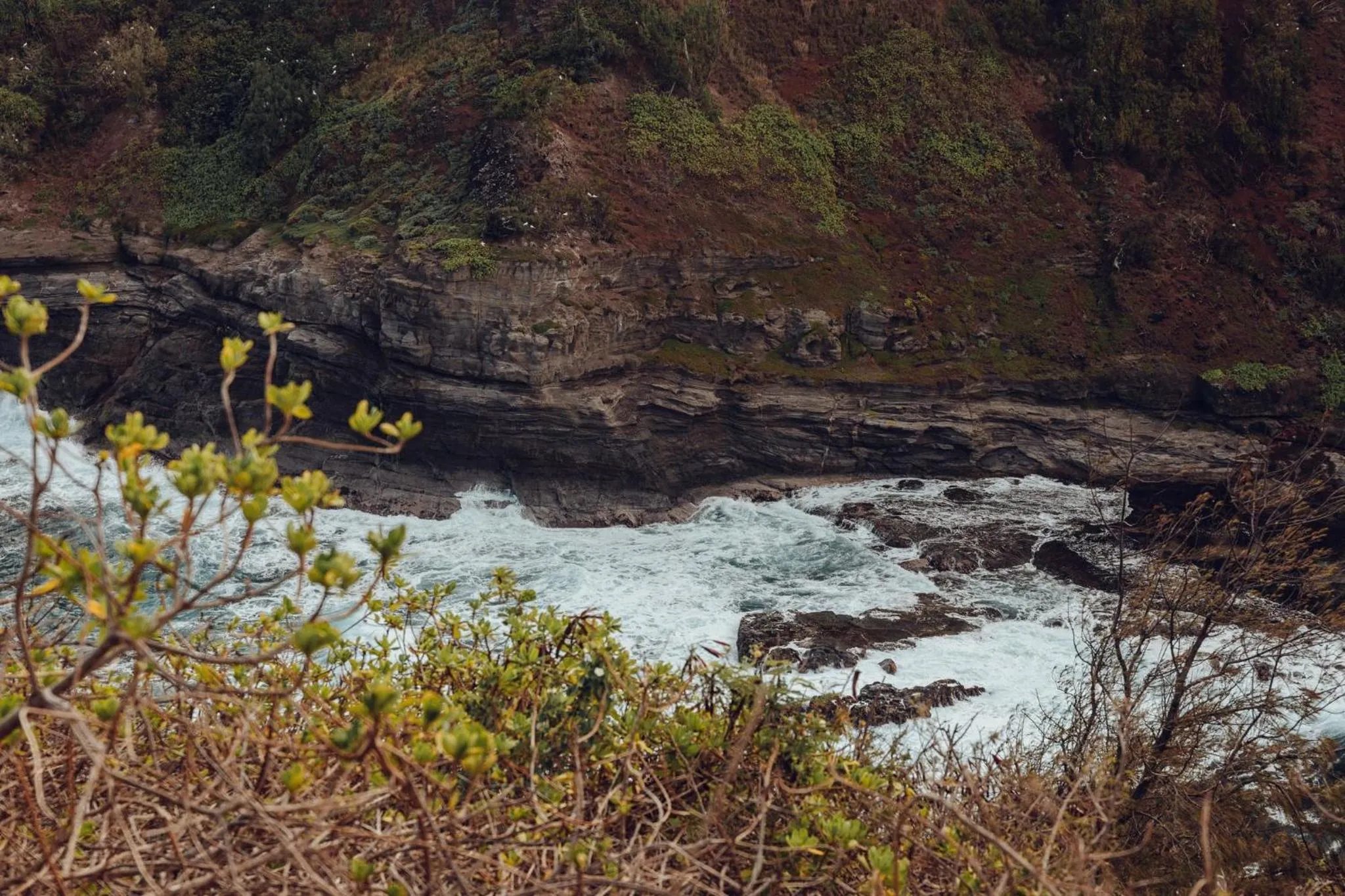 Other in Banyan Harbor Resort