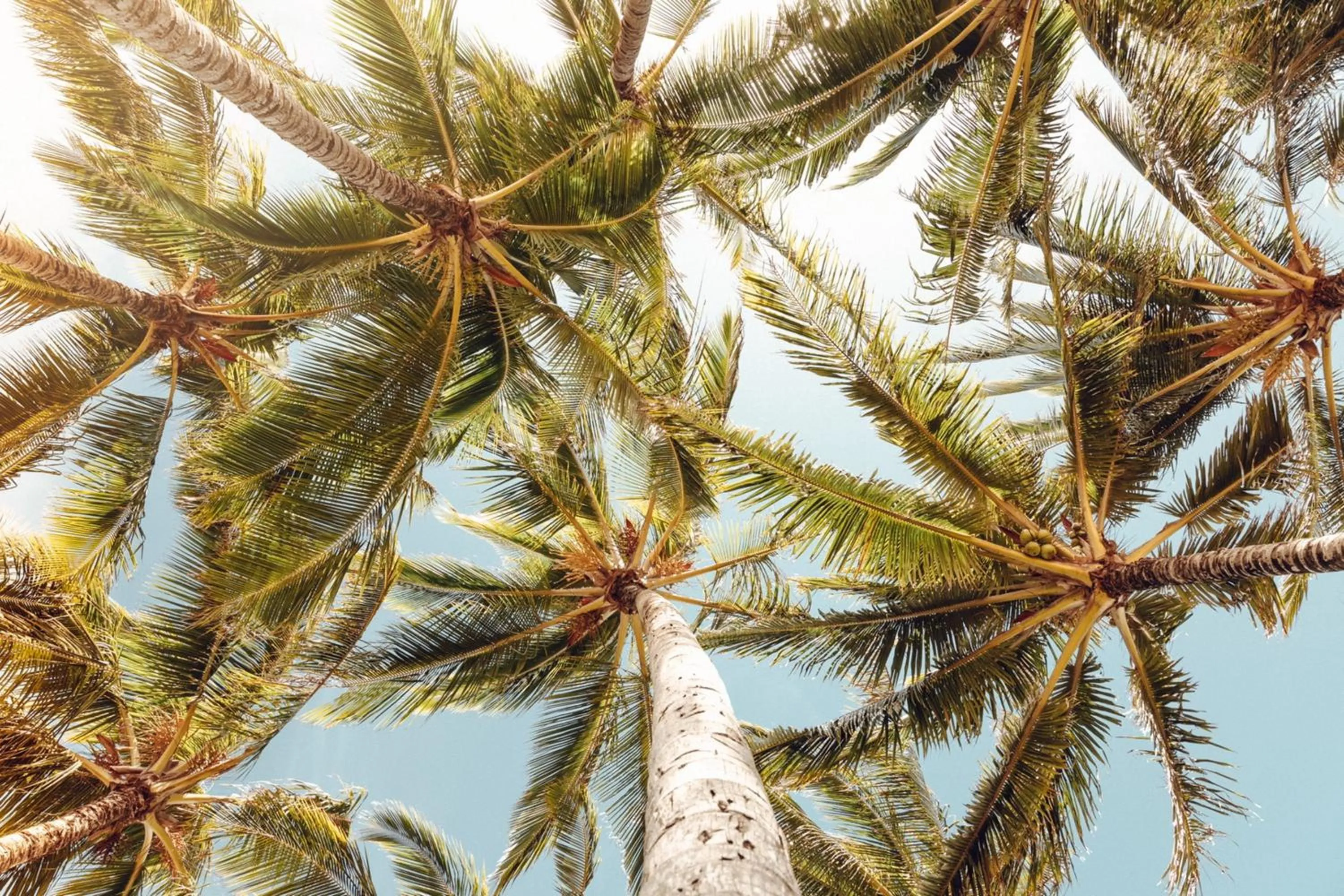 Other in Banyan Harbor Resort