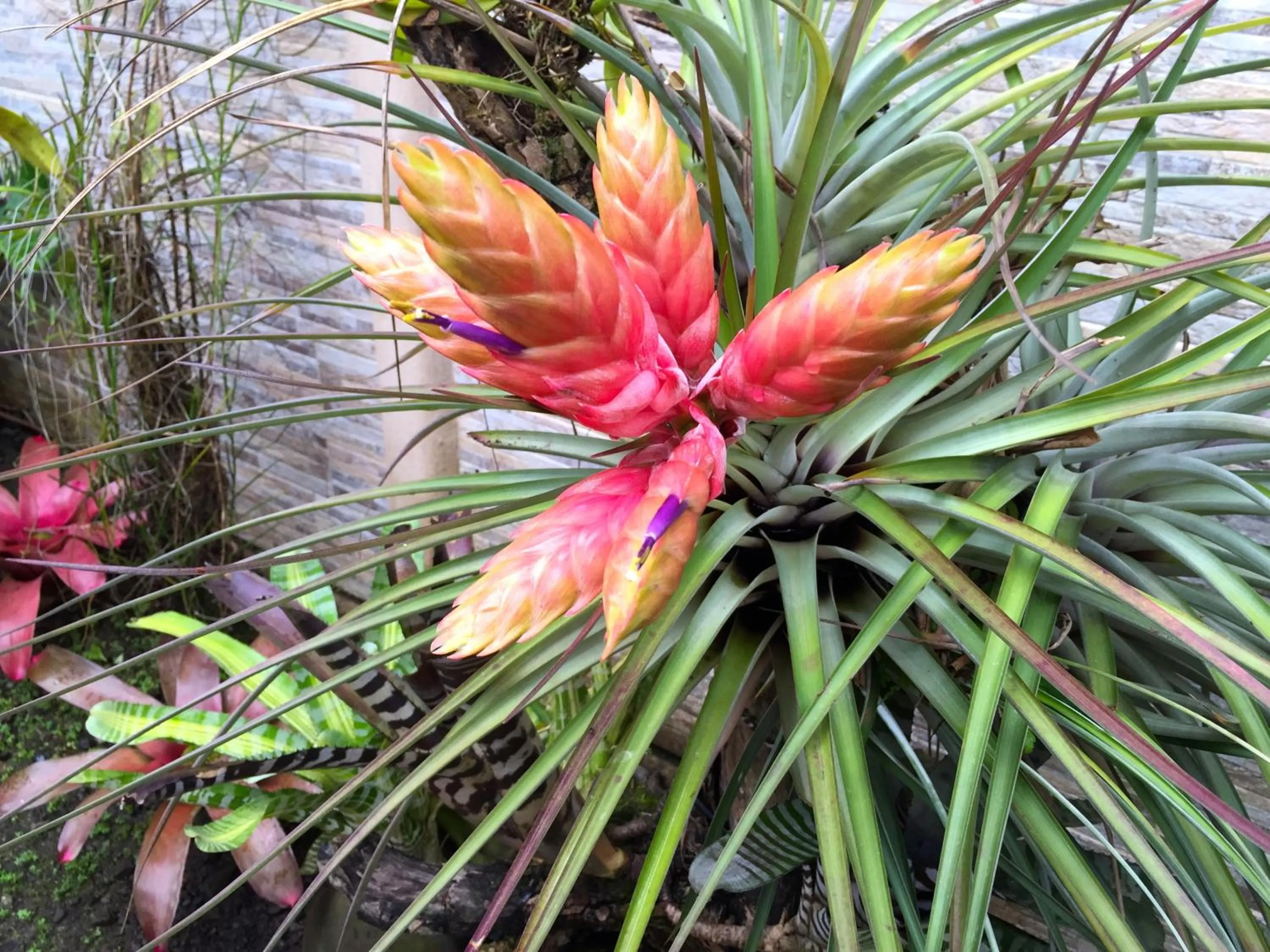 On site in Physis Caribbean Bed & Breakfast