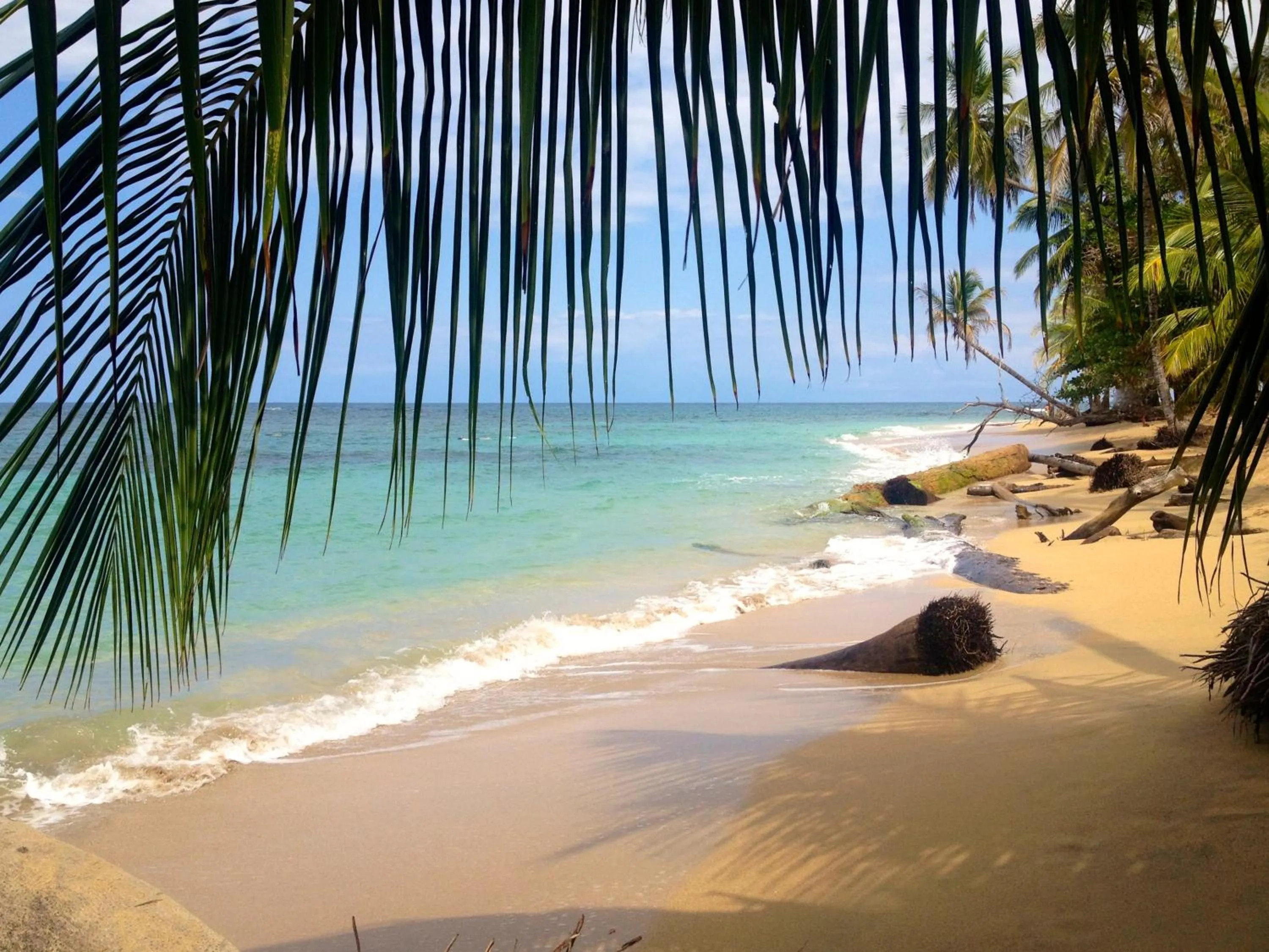 Snorkeling in Physis Caribbean Bed & Breakfast