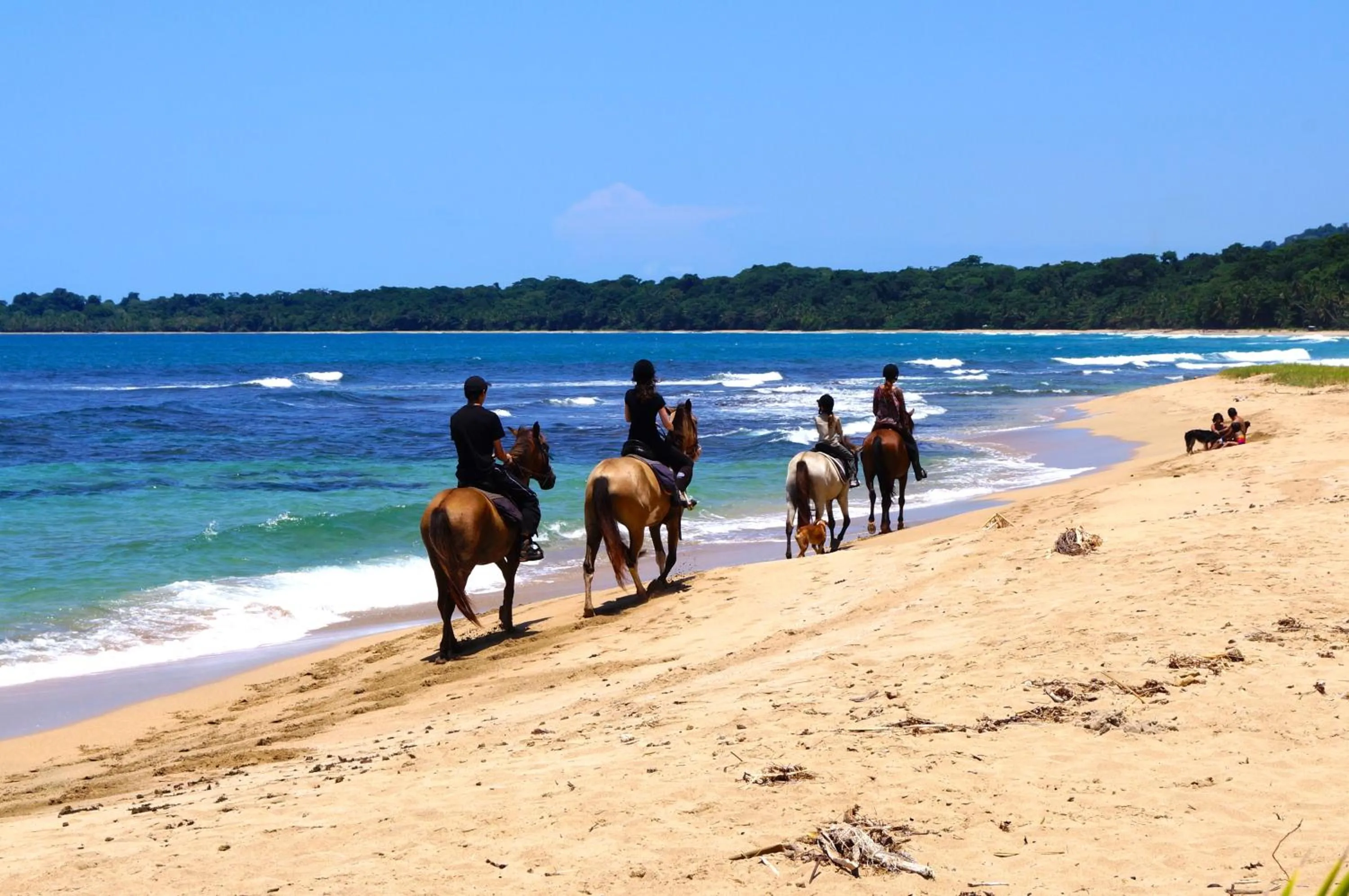 Horse-riding in Physis Caribbean Bed & Breakfast