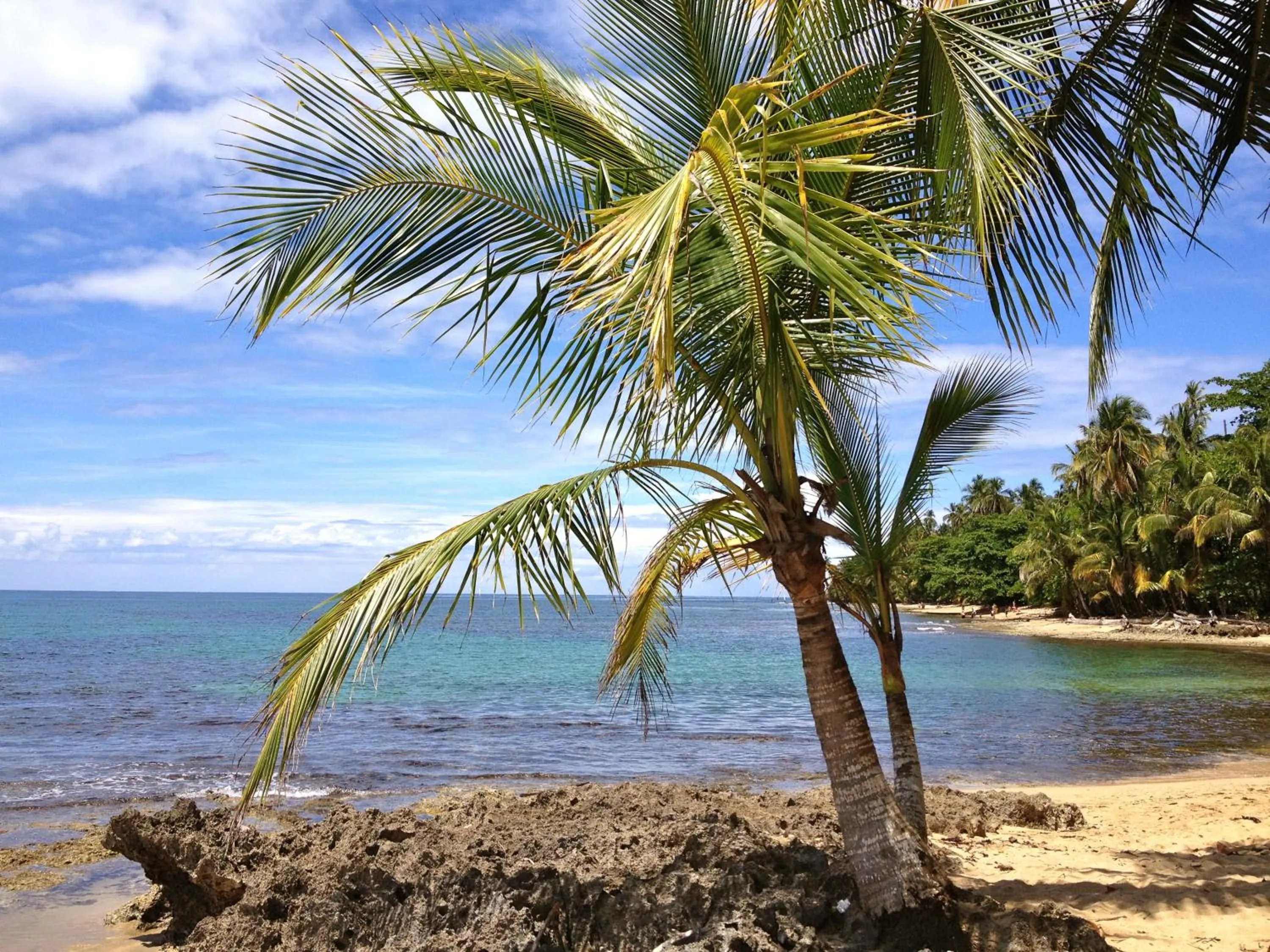 Snorkeling in Physis Caribbean Bed & Breakfast