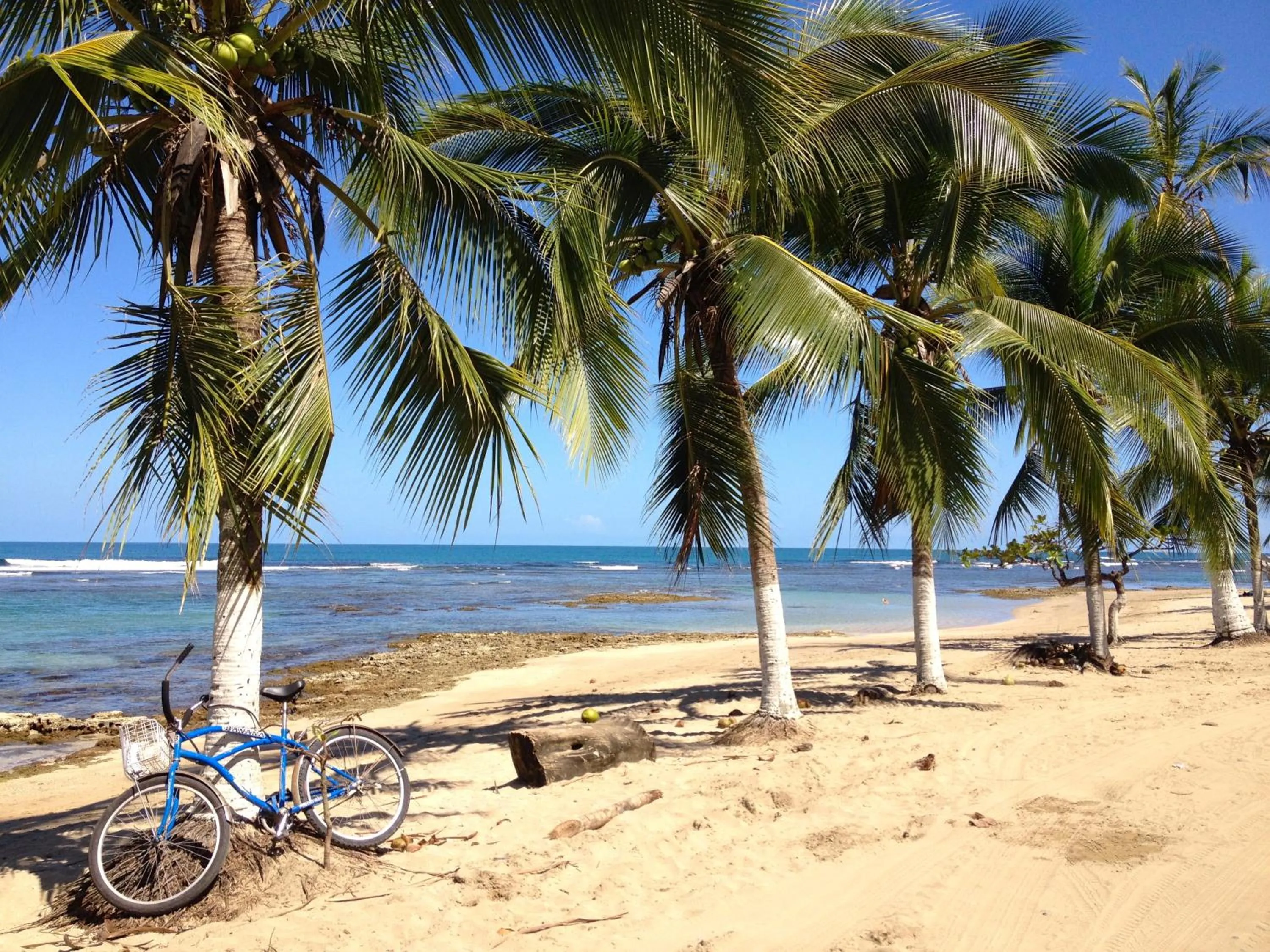 Beach in Physis Caribbean Bed & Breakfast