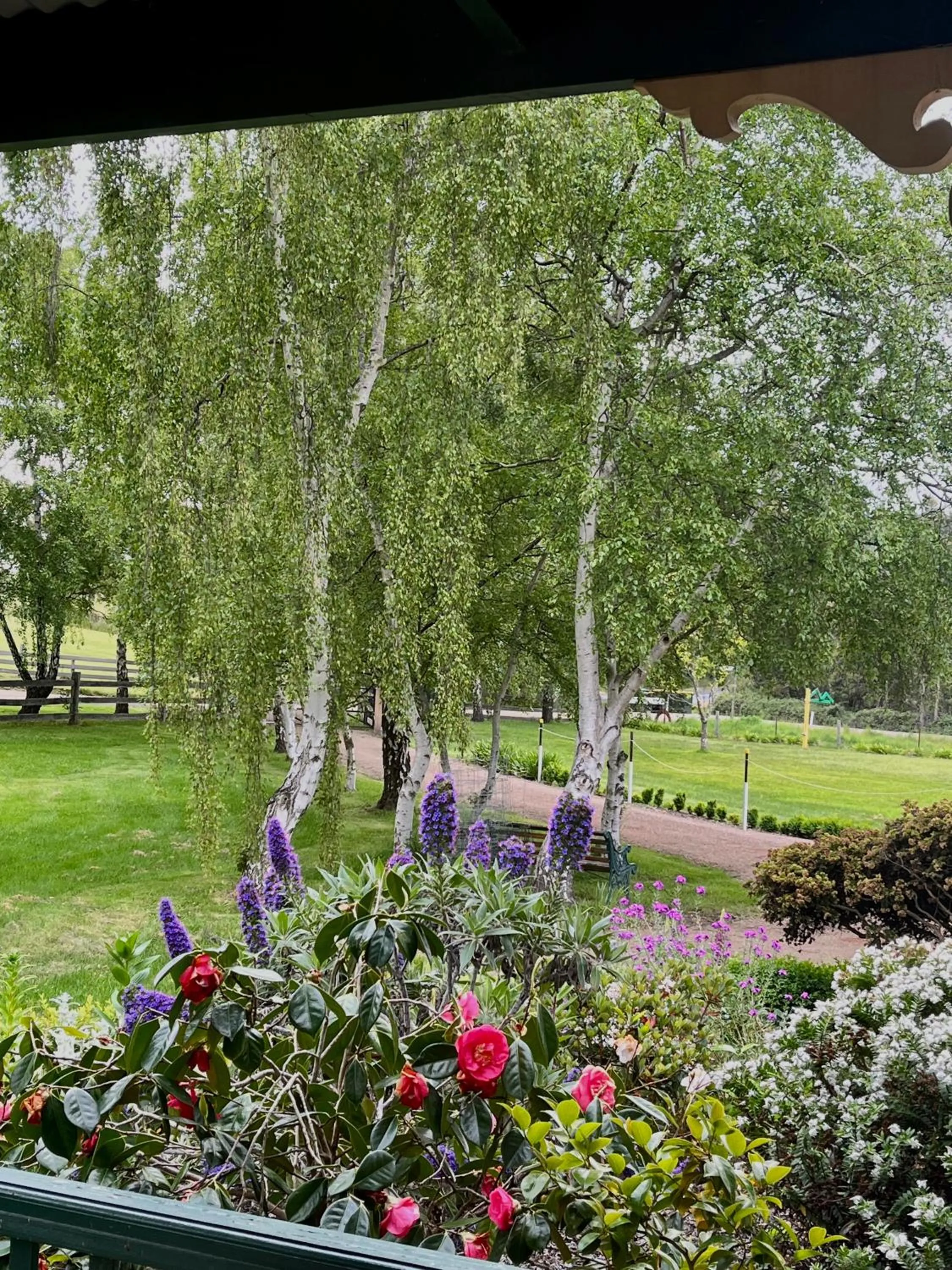 Garden view in Green Gables B&B Waterfront Apartment or Garden Studio